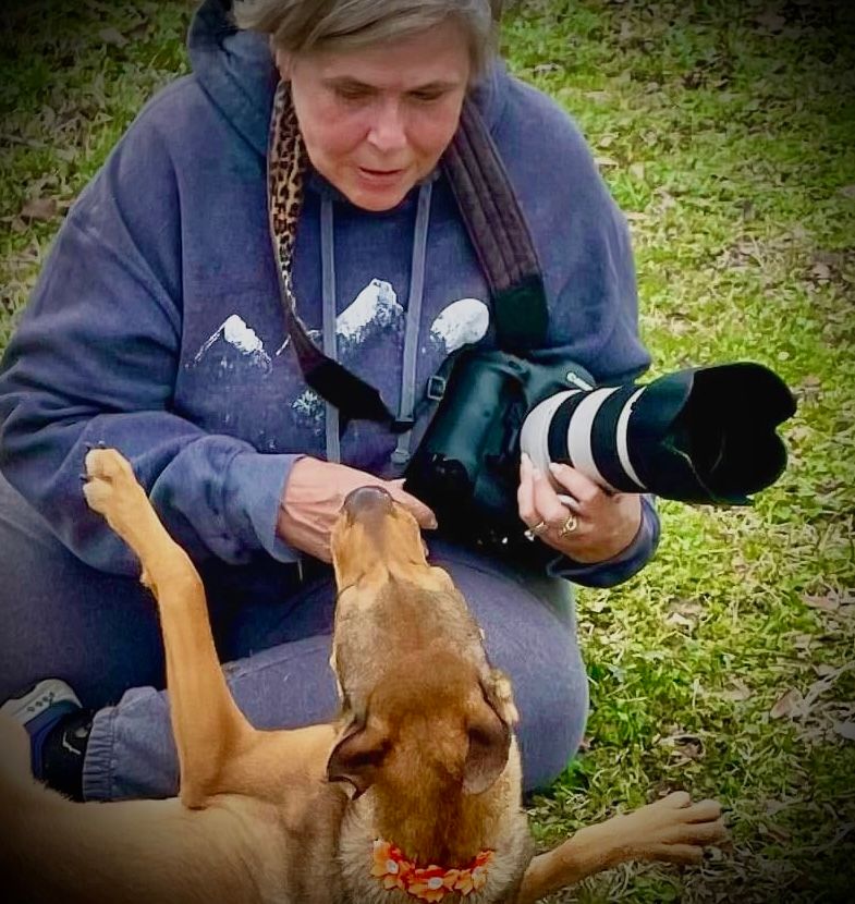 Pam Horn, Pawfect Moments Photography making one of her furbaby clients feel relaxed and at ease during his session.