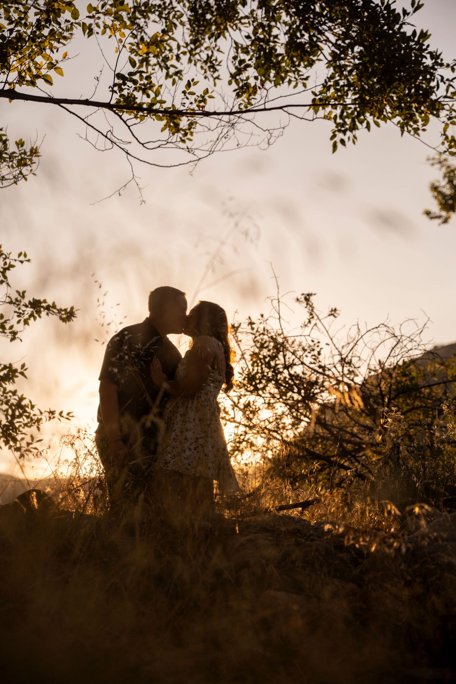 A romantic silhouette of a couple sharing a tender moment at sunset beneath overhanging tree branches.