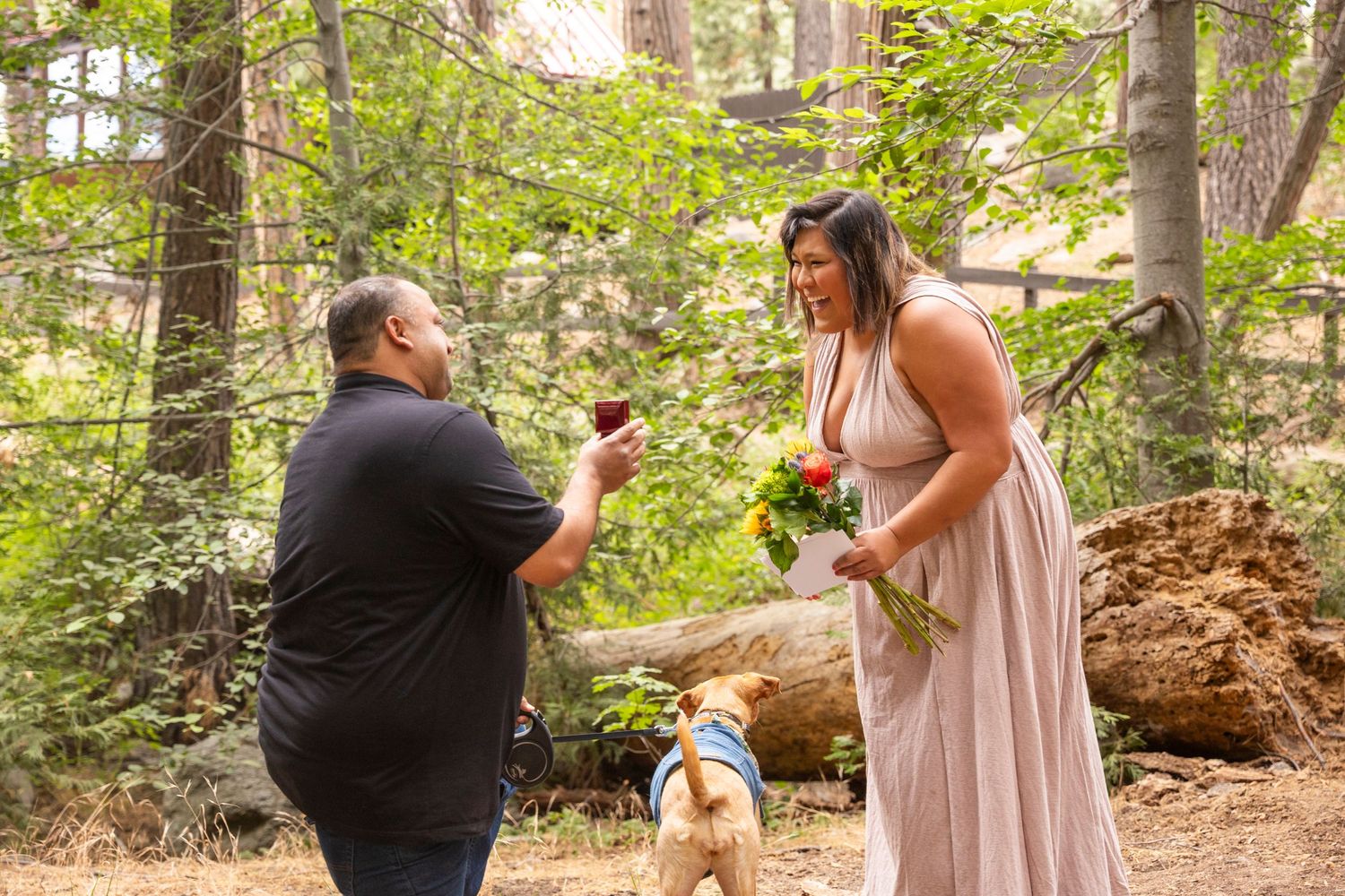 A proposal scene in the woods with a dog observing as someone kneels down in front of another holding a bouquet.