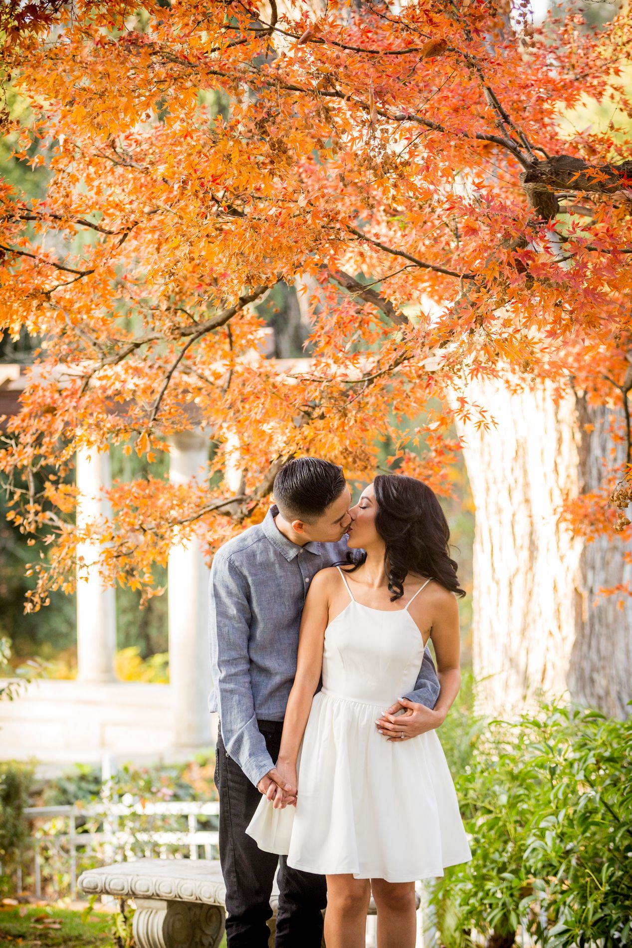 Couple embracing under vibrant autumn orange maple trees in a romantic garden setting during fall.