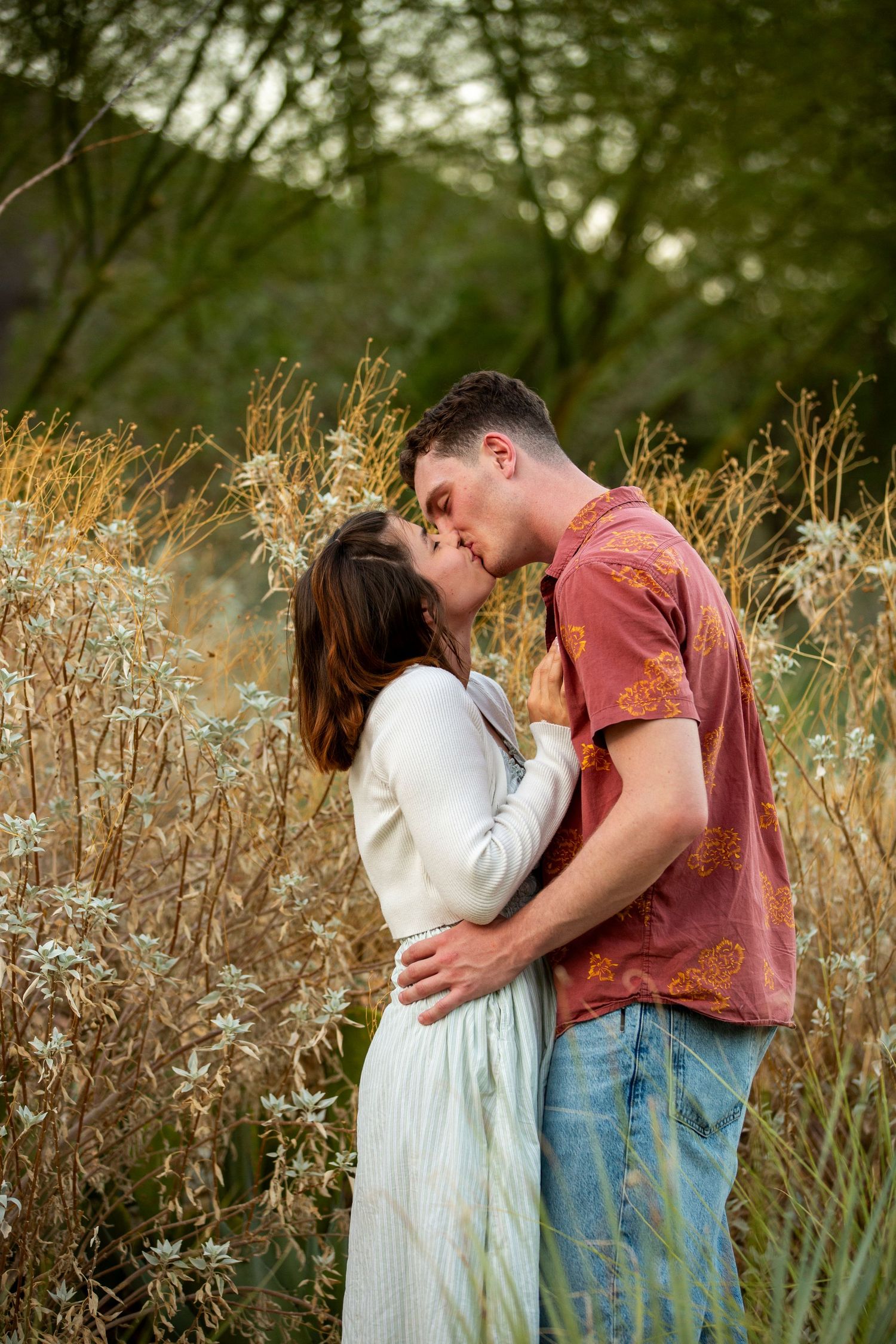 A romantic couple embraces in a field of tall golden grass during sunset.
