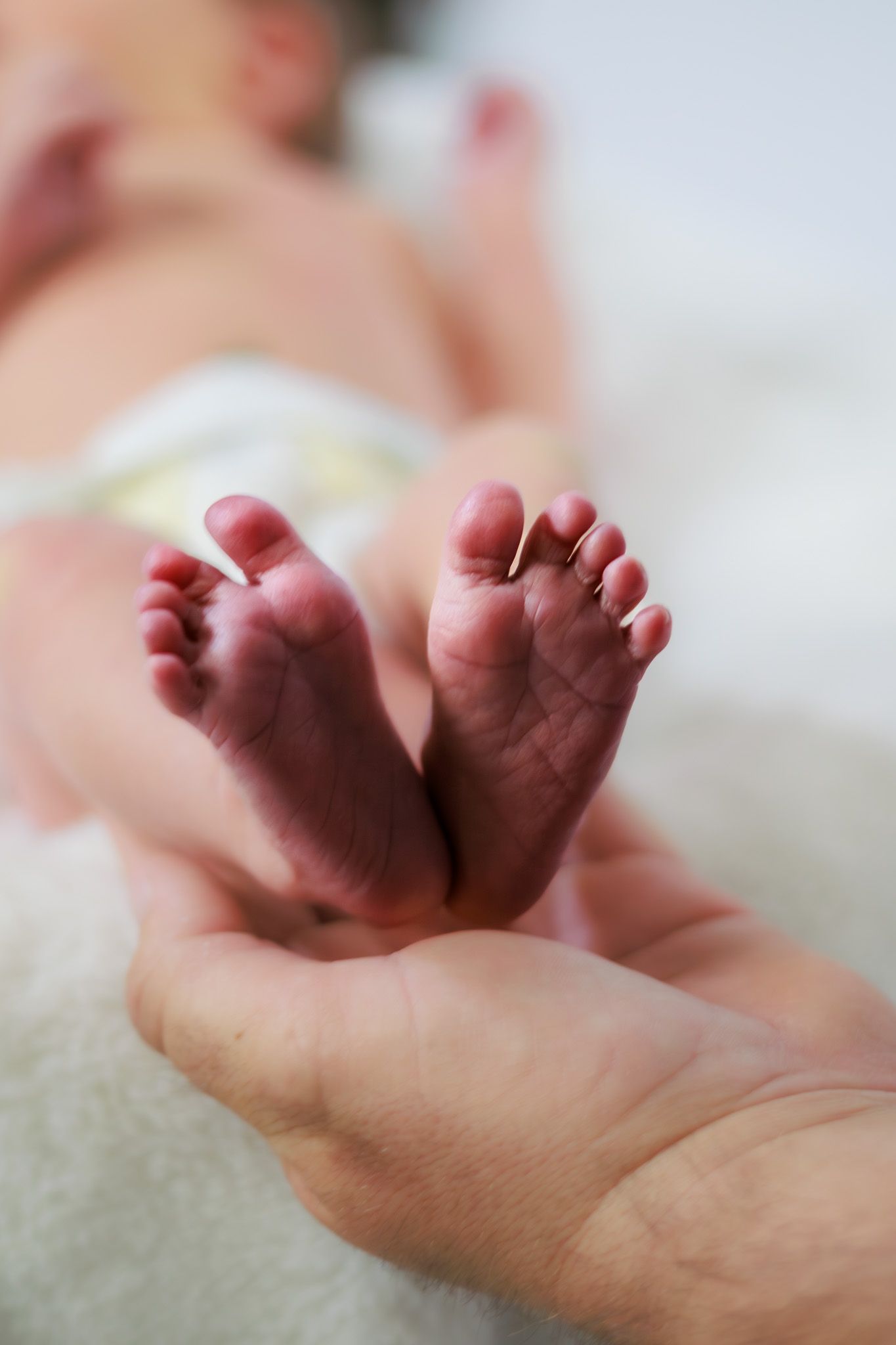 Close-up of a parent cradling tiny newborn baby feet in their hand, with the infant resting on a white blanket.