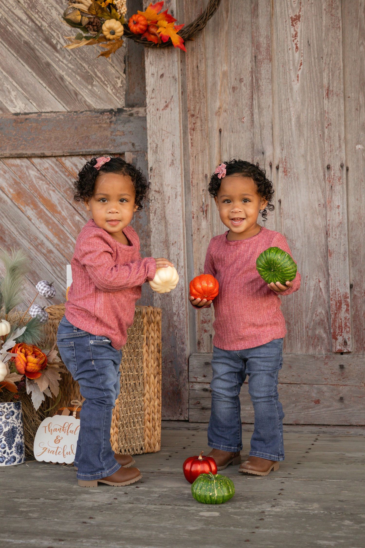 Twin toddler girls in pink sweaters holding colorful mini pumpkins beside rustic barn doors.