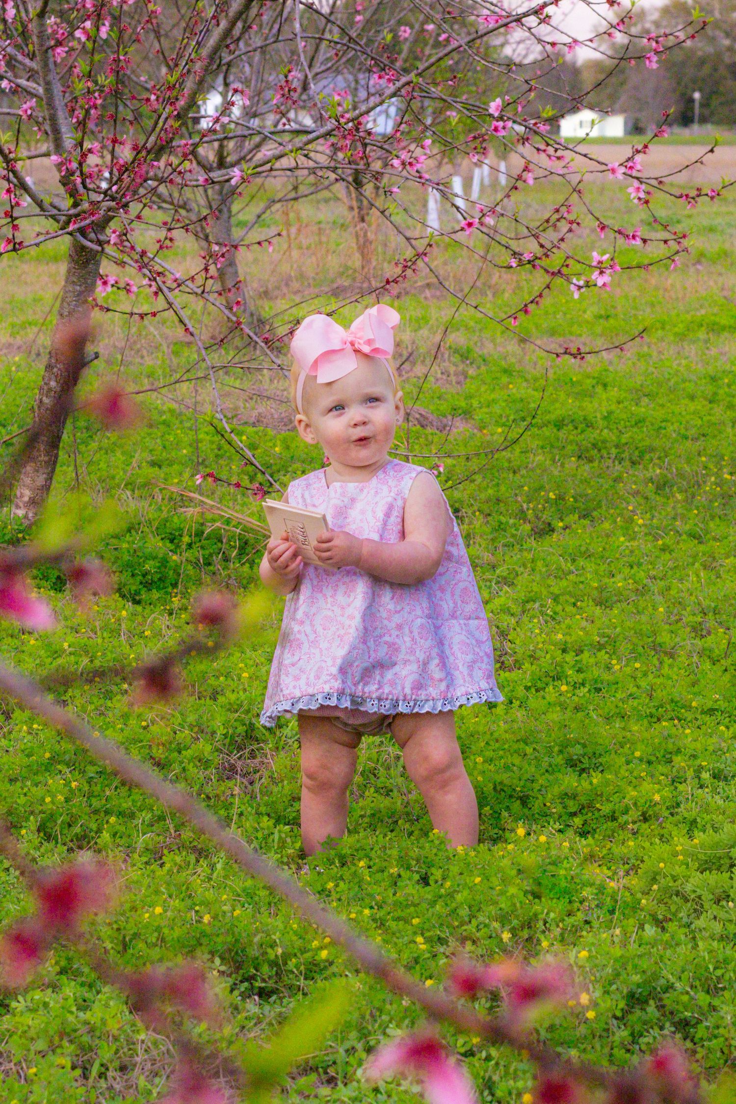 Sweet toddler girl in lavender paisley dress holding small book while standing among pink flowering trees.