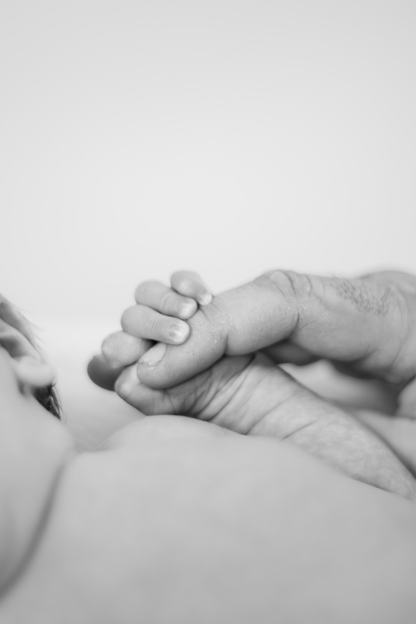 Black and white image of a newborn baby holding an adult's finger.