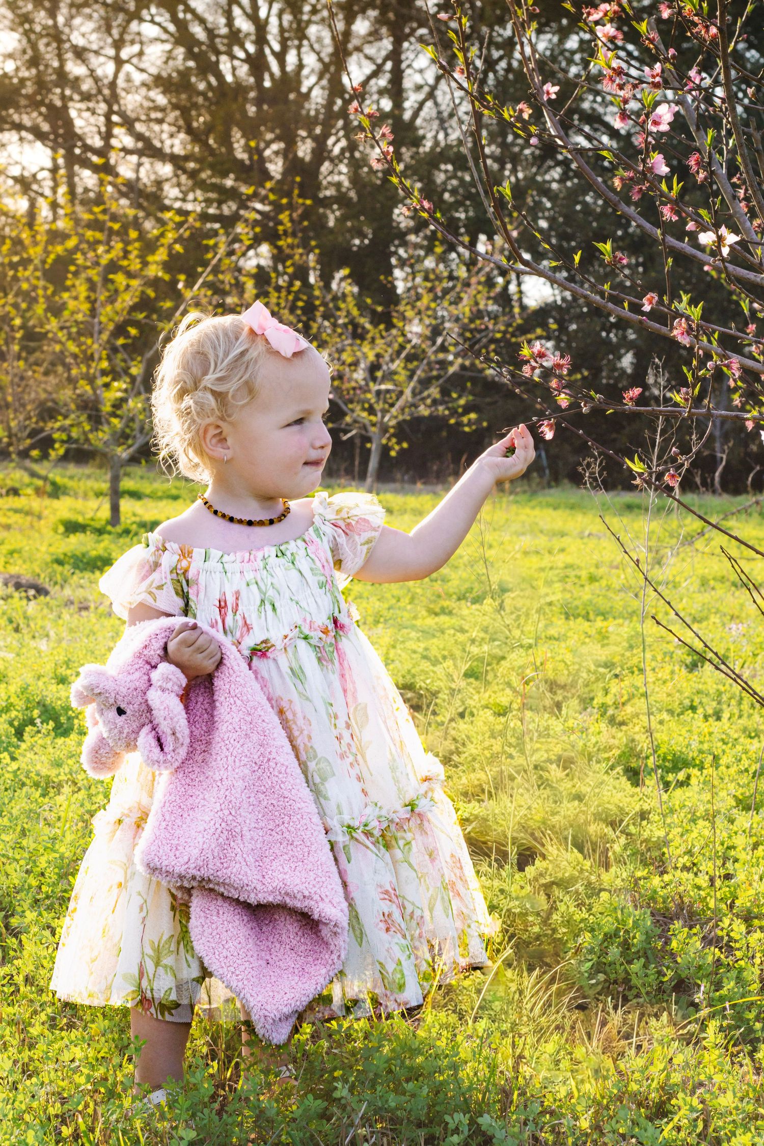 Little blonde girl in floral dress reaching for pink cherry blossoms at sunset.