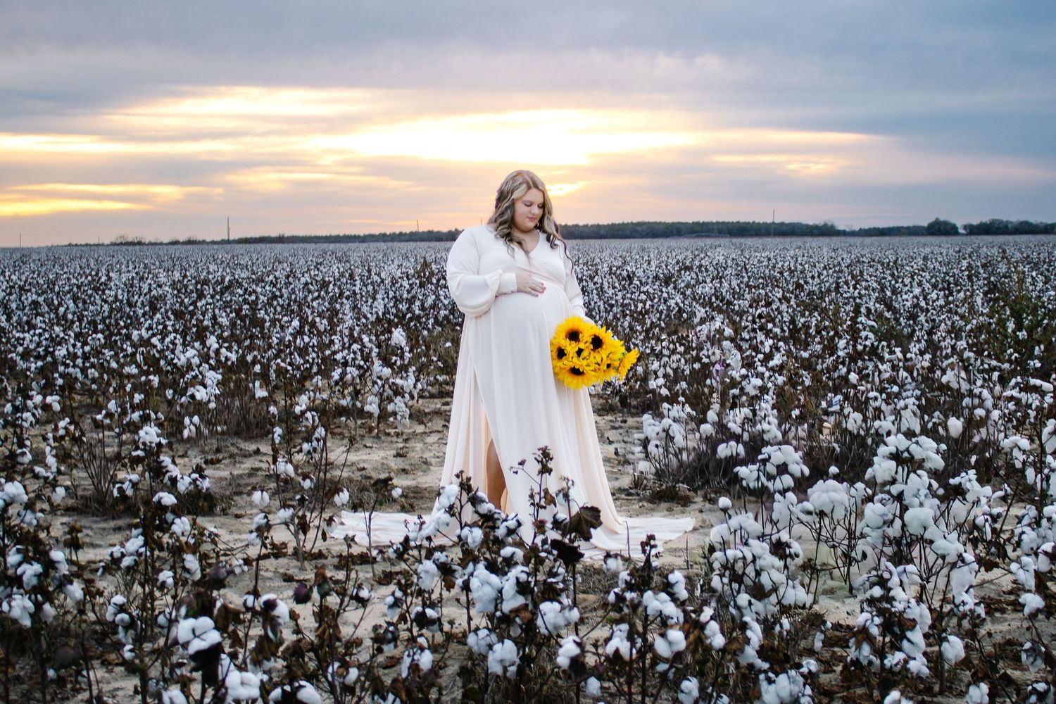 Pregnant woman in white gown holding sunflowers in a cotton field at sunset.