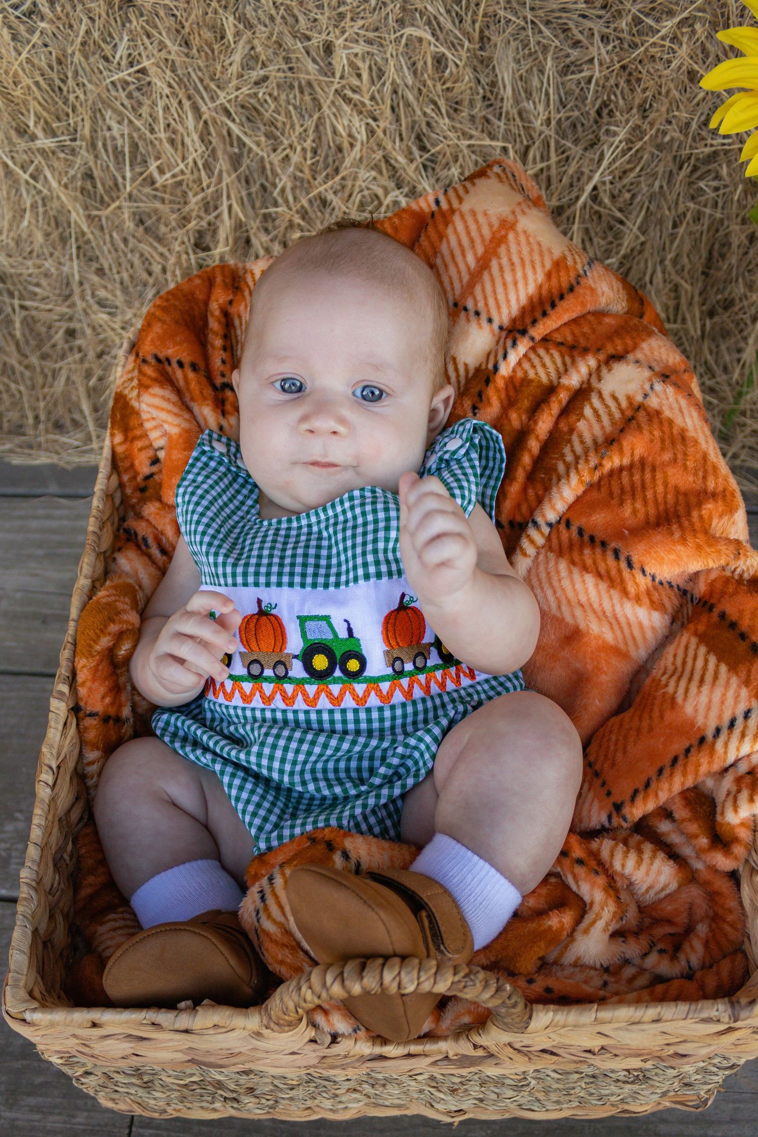 A baby in a green gingham pumpkin romper sits in a wicker basket with orange blanket.