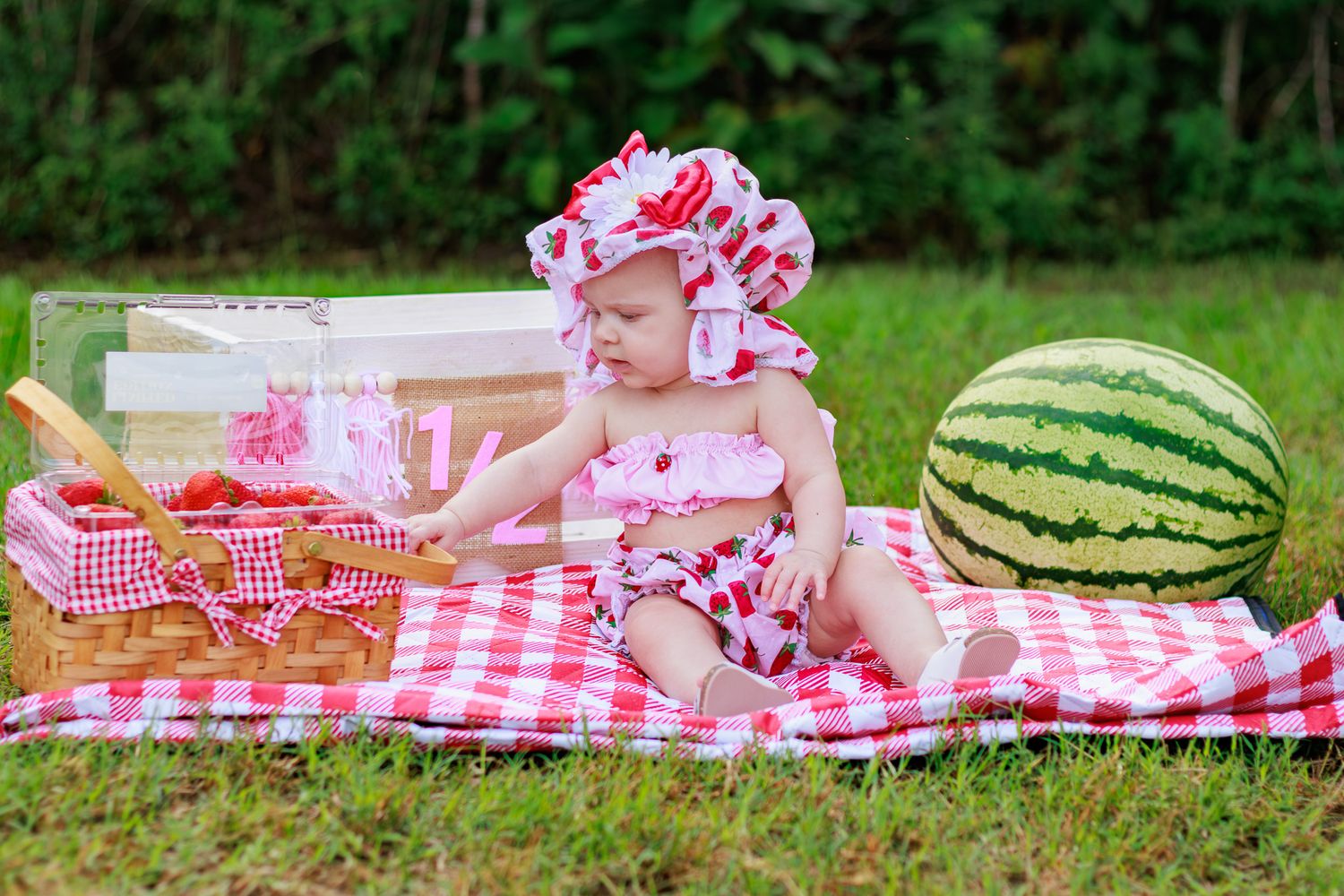 Baby girl in red gingham outfit and floral hat sits on picnic blanket beside watermelon and basket outdoors.