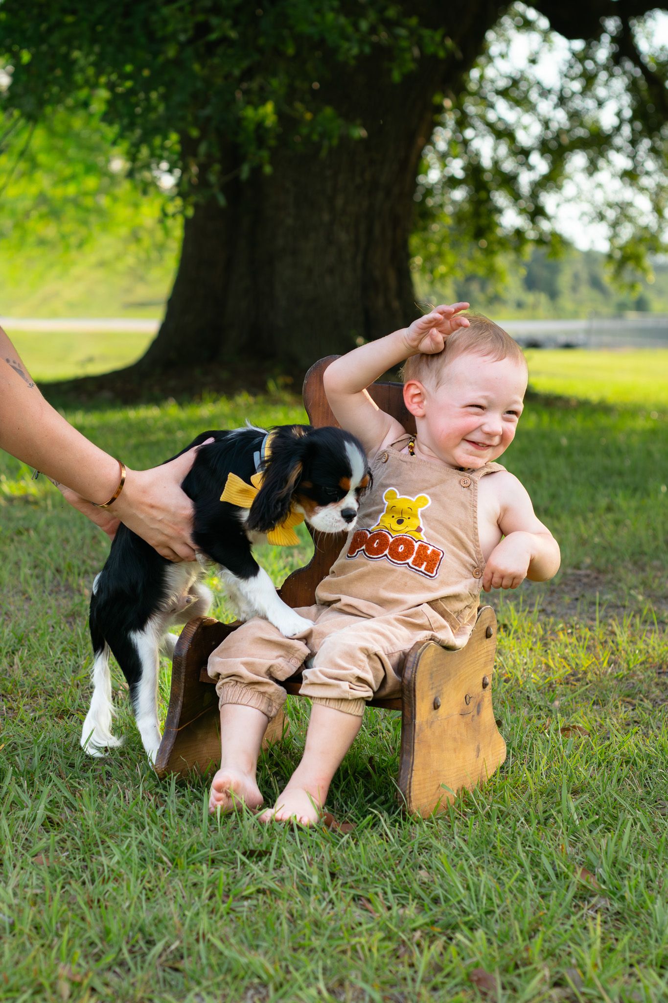 Laughing baby in Pooh outfit sits on wooden chair outdoors while a Cavalier King Charles Spaniel puppy licks his face.