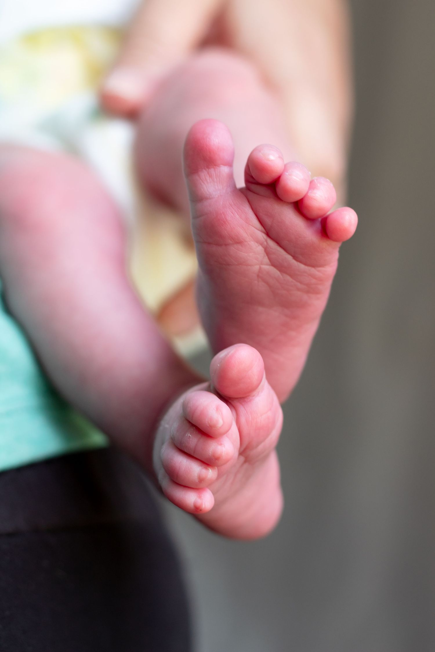Close-up of tiny newborn baby feet and toes being held by an adult.