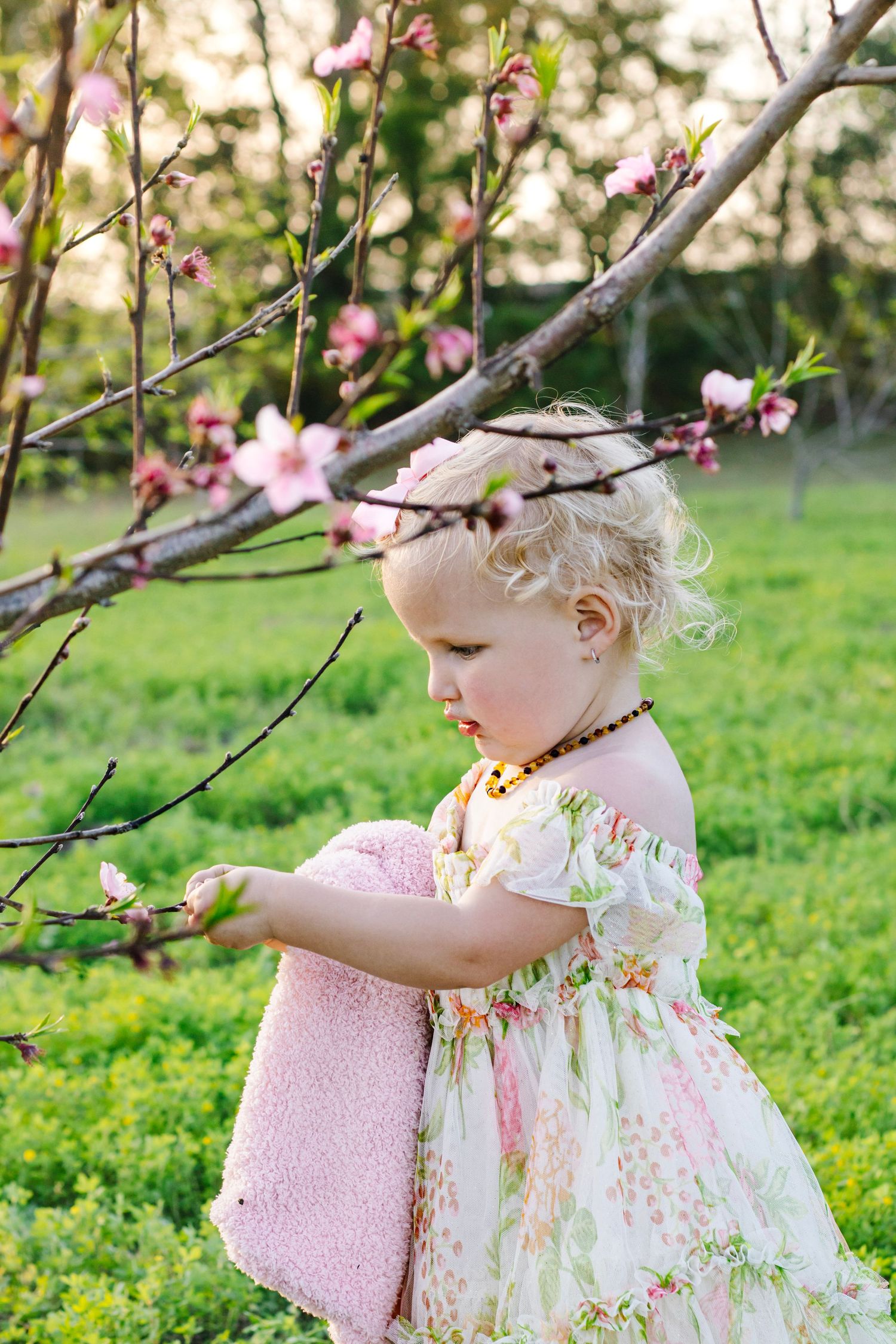 Little girl in floral dress holding pink blanket touching cherry blossom flowers.