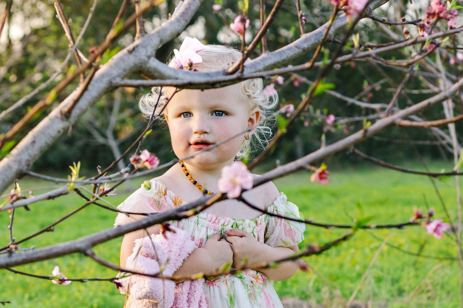 Toddler girl in floral dress standing among pink cherry blossom tree branches.