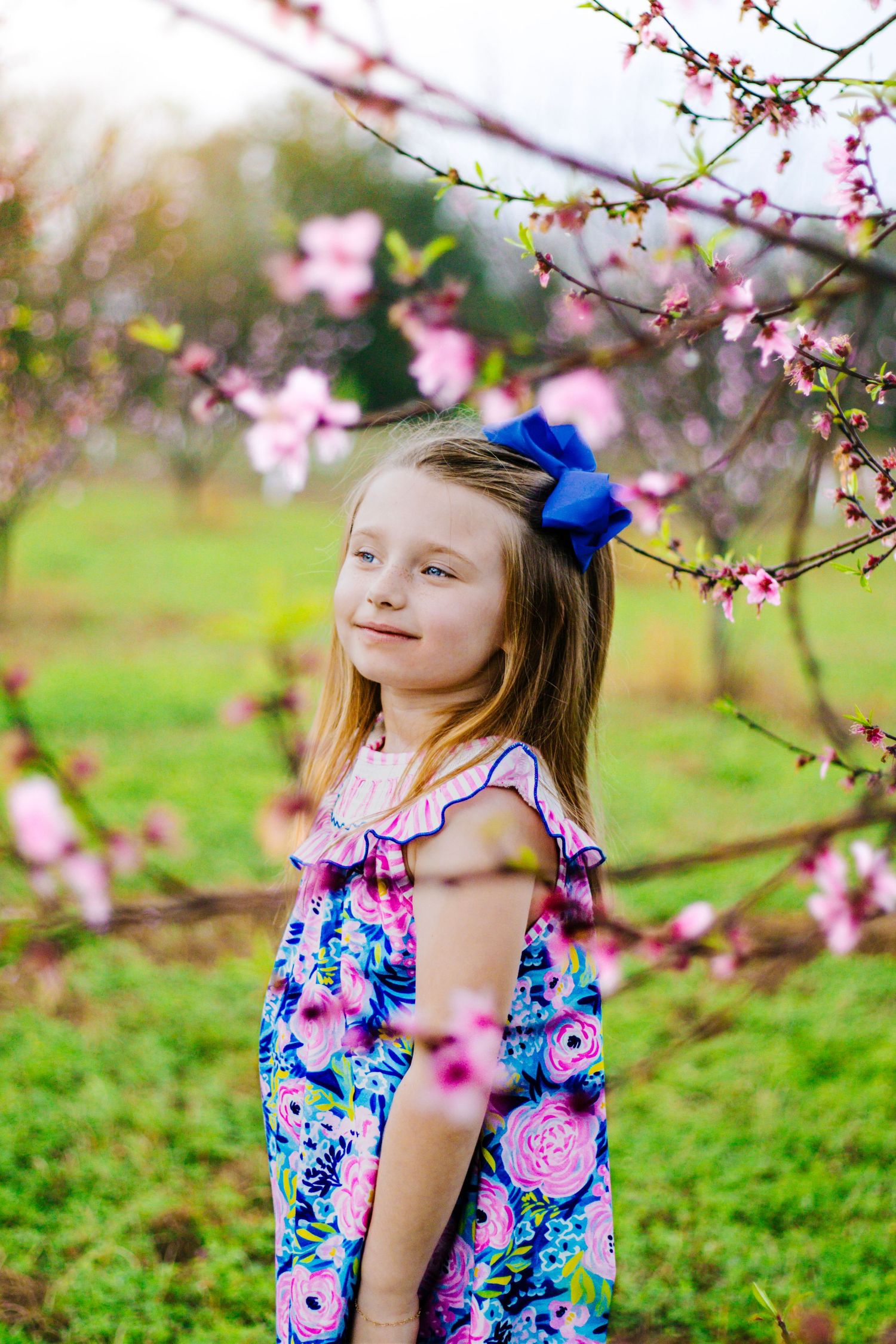 Young girl in blue floral dress standing peacefully among pink cherry blossom branches in spring orchard.