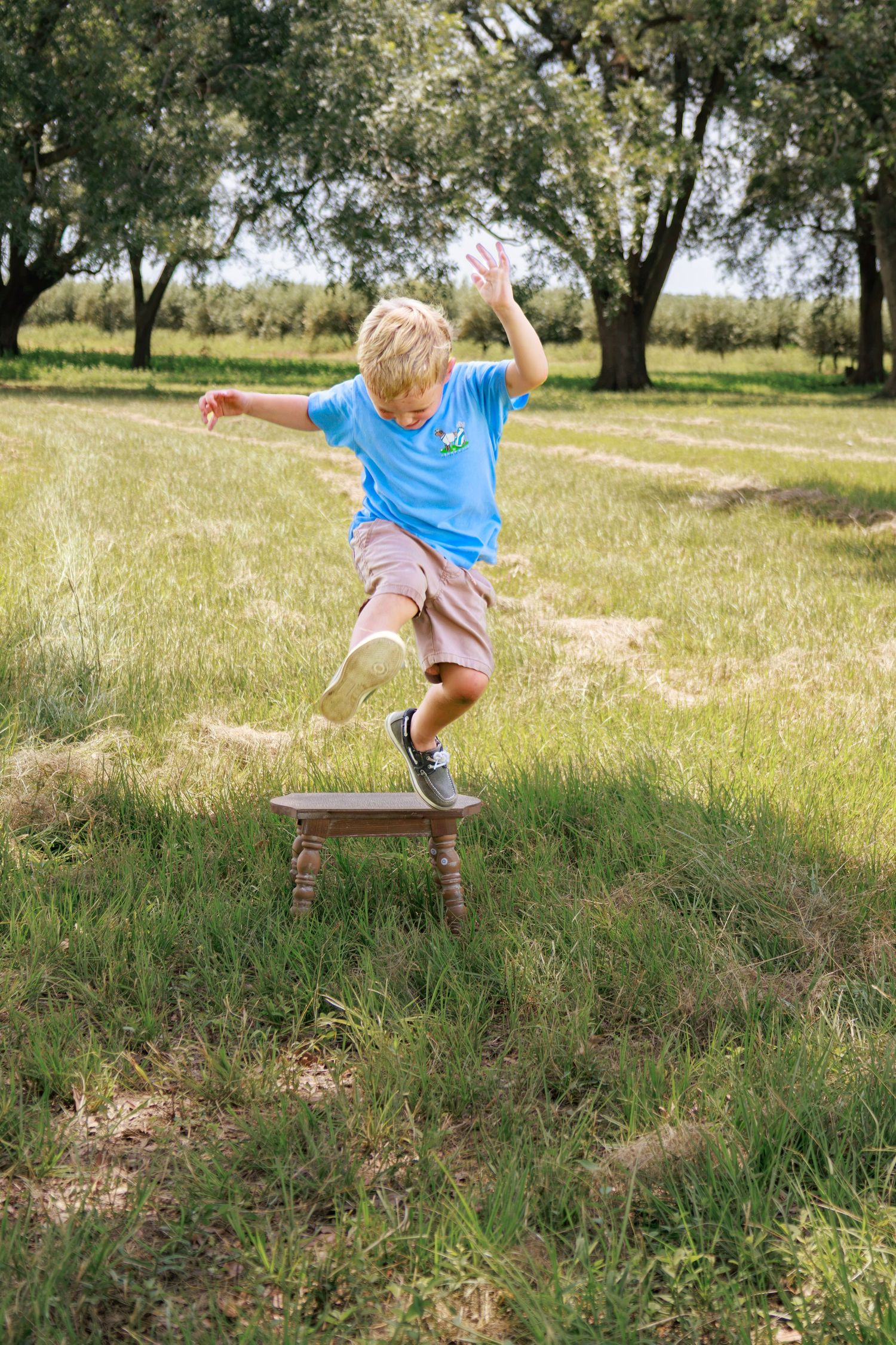 Blond boy in blue shirt balancing on a wooden stool outdoors in a lush green field with trees.