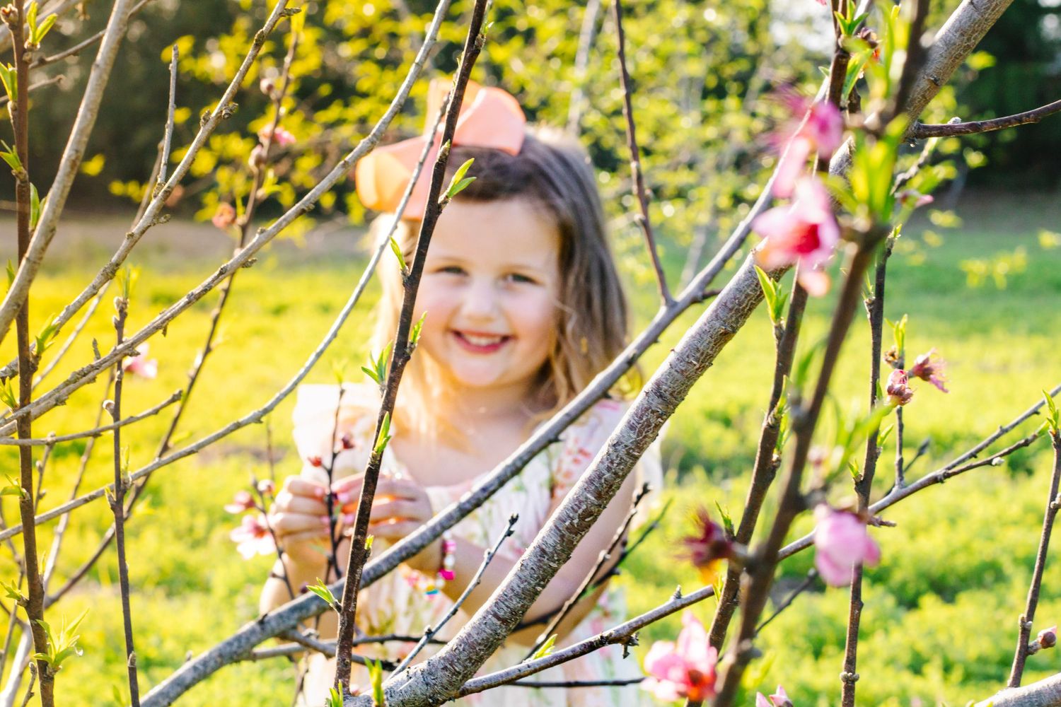 Happy little girl peeking through pink cherry blossom branches in a bright spring garden.