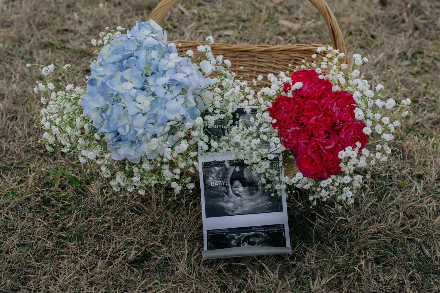 Wicker basket with blue and red flowers and ultrasound photos on grass.
