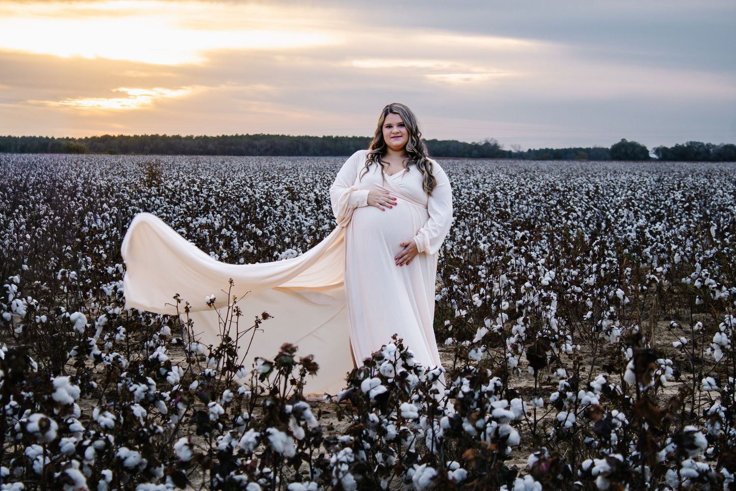 Maternity portrait of woman in elegant white dress standing in blooming cotton field at sunset.