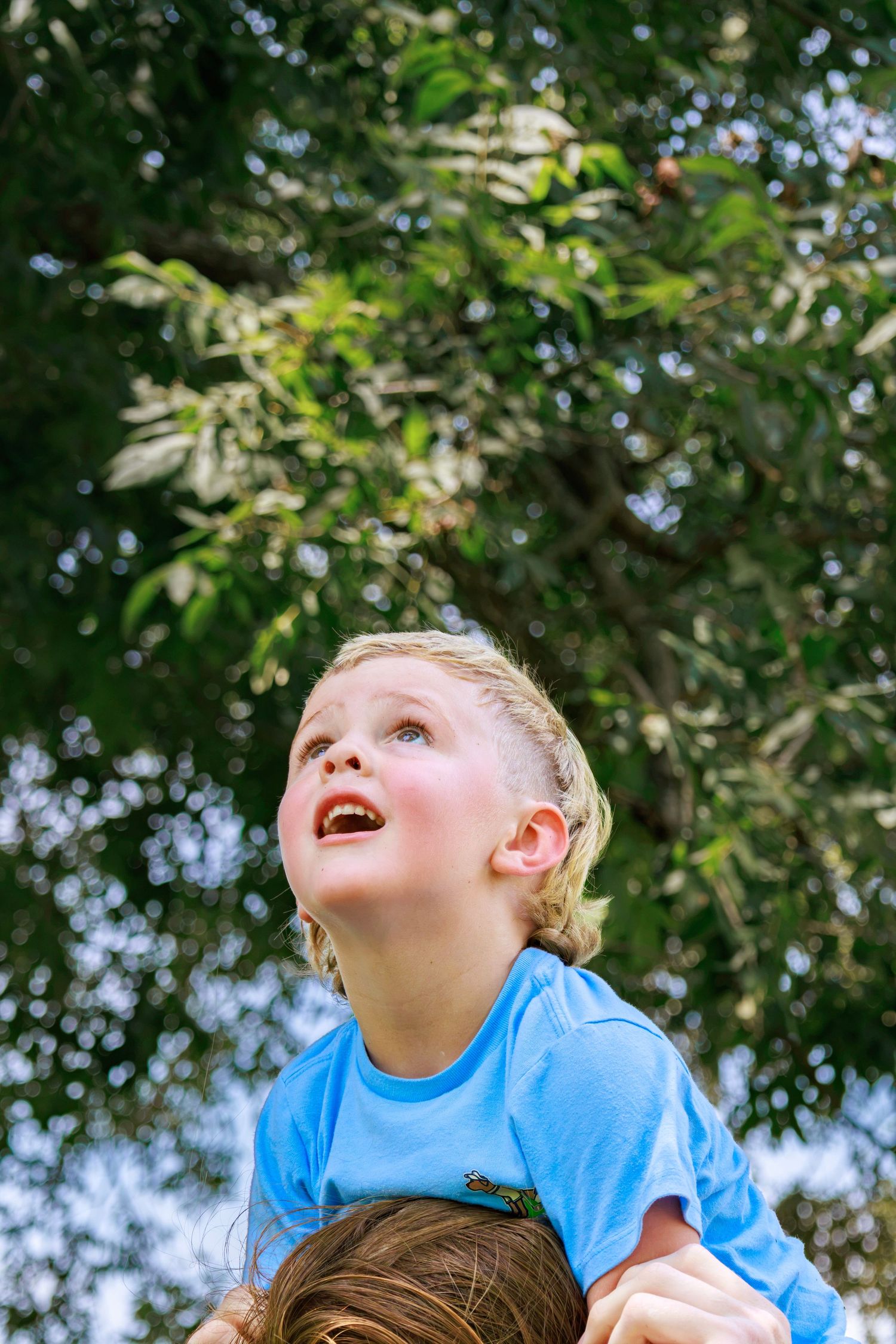 Young blonde boy in blue shirt sitting on shoulders outdoors, looking up with wonder at green tree canopy above.