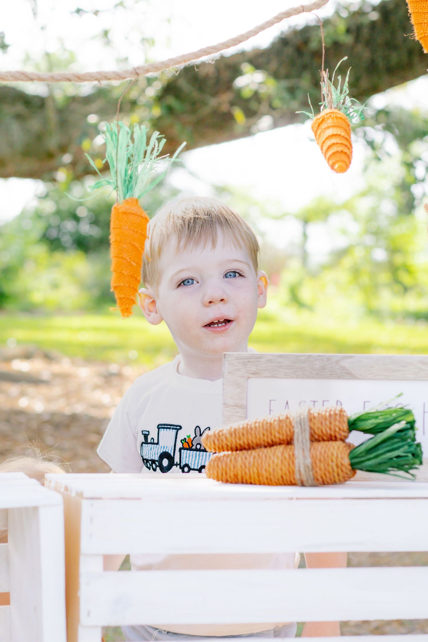 Blond toddler boy looking up at hanging carrot decorations beside white wooden crate with carrots outside.