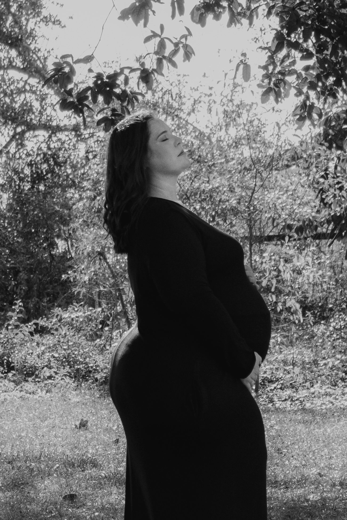 Black and white side profile of pregnant woman cradling bump under leafy tree.