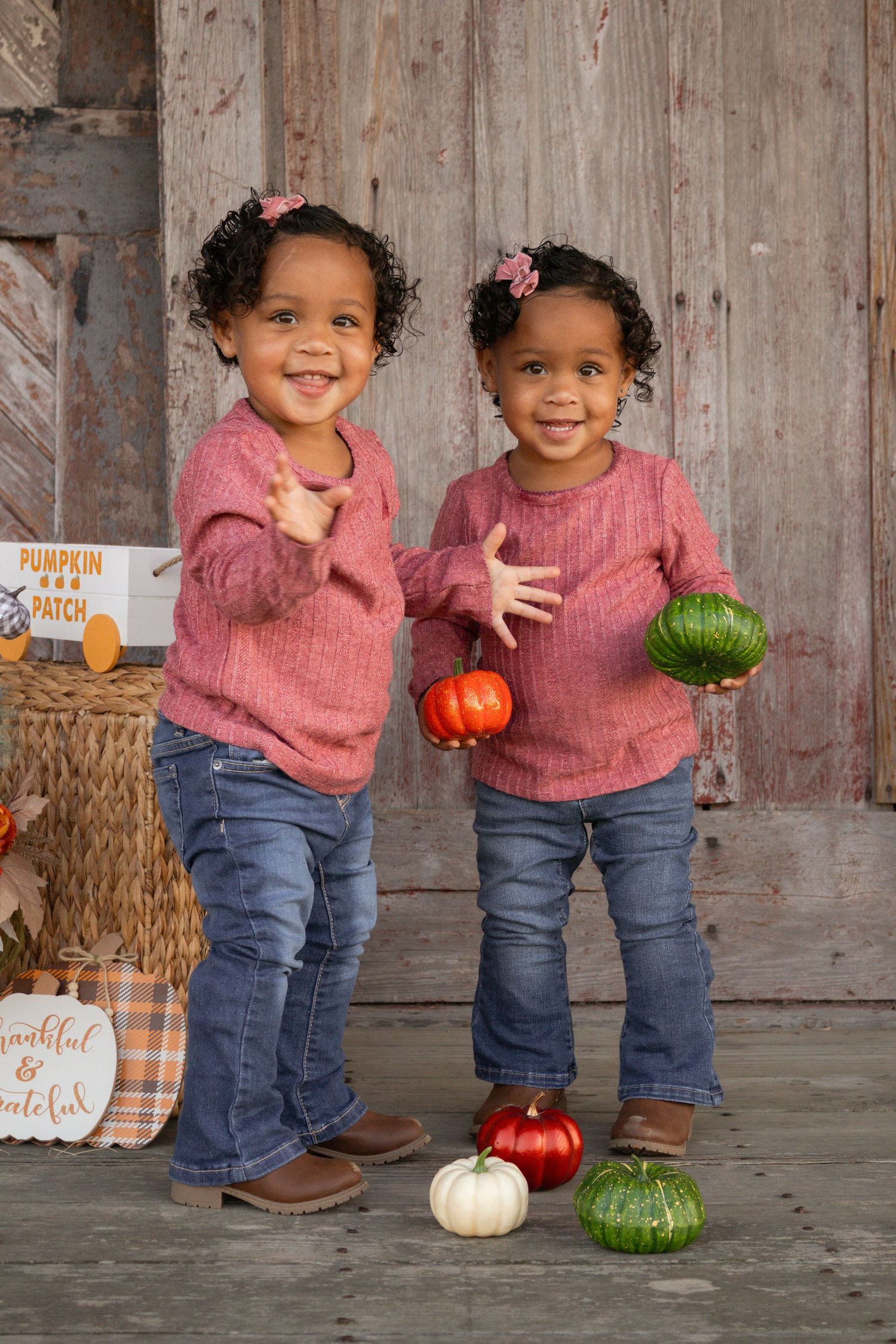 Twin toddler girls in matching pink sweaters and jeans holding mini pumpkins at a pumpkin patch.