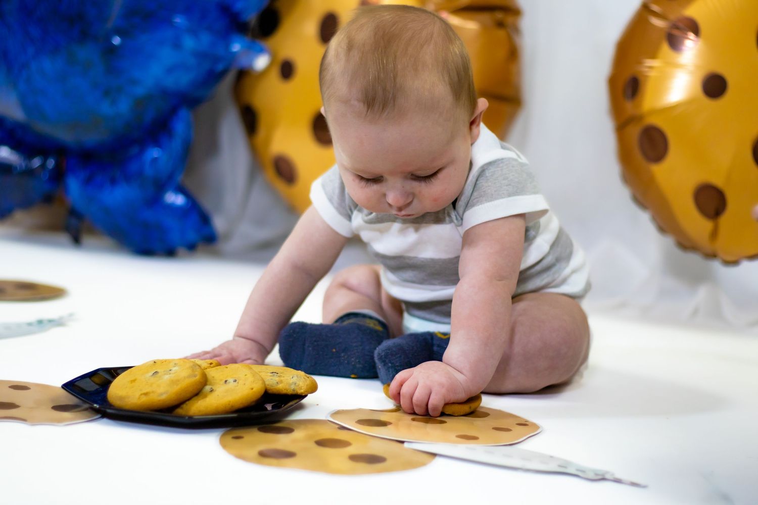 Baby boy in striped onesie exploring chocolate chip cookies during Cookie Monster themed photo shoot.