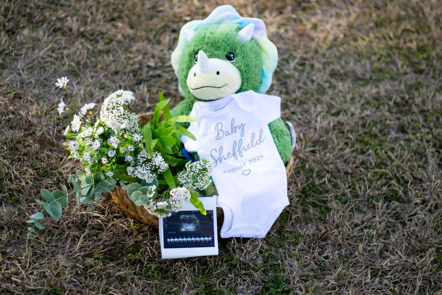 Baby Sheffield onesie with green dinosaur plush and ultrasound in basket.