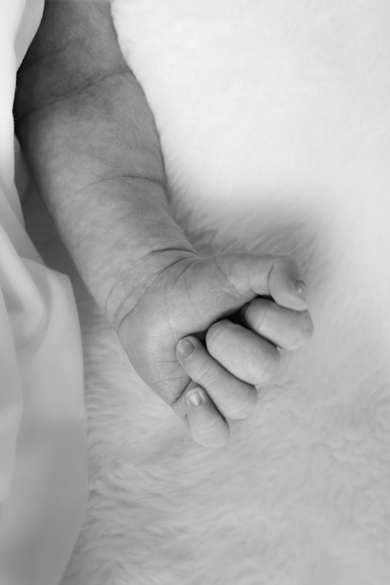 Black and white close-up of a newborn baby fist clenched on a soft white blanket.