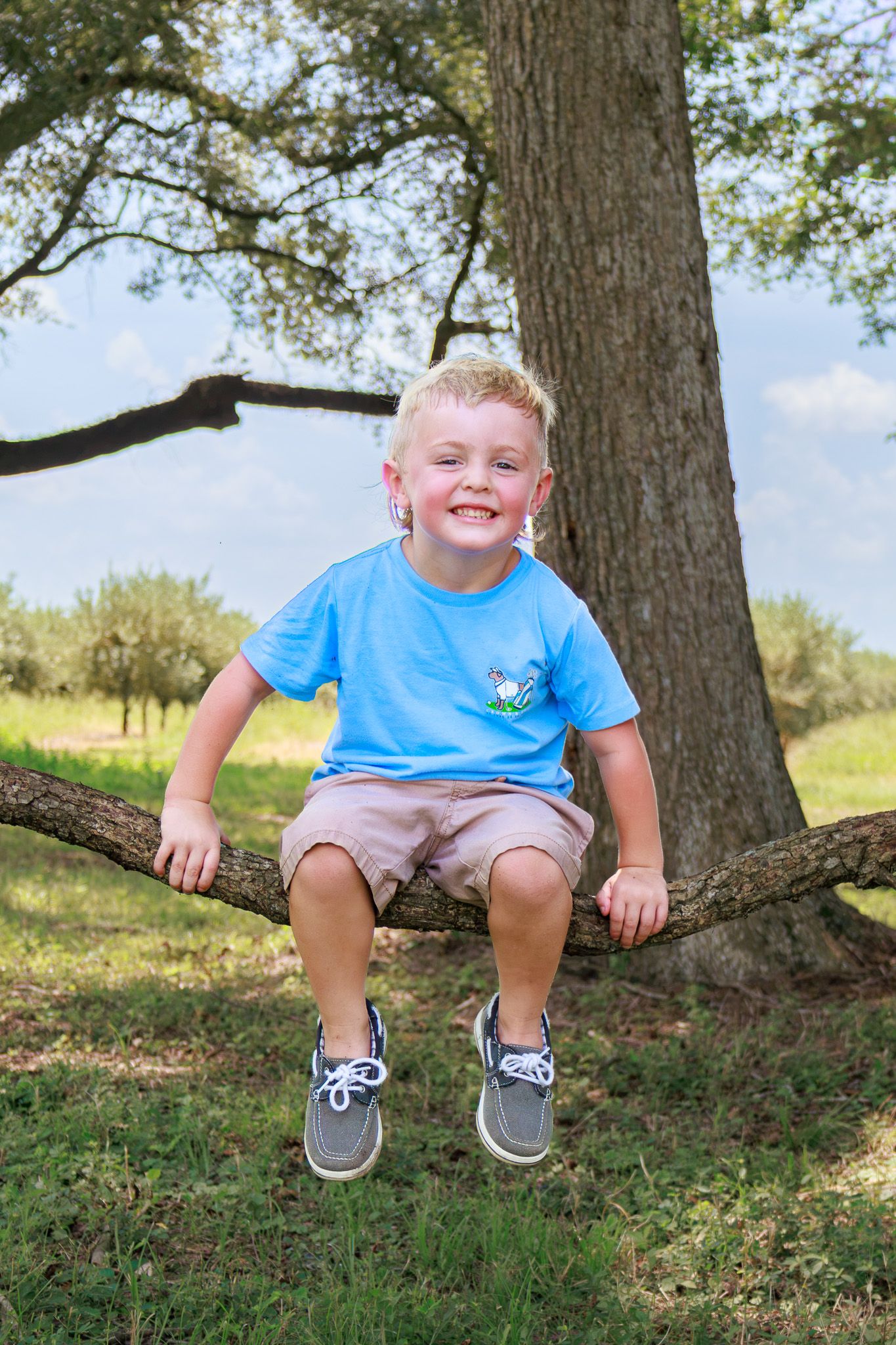 A smiling young blond boy sits on a tree branch outdoors, wearing a blue t-shirt, tan shorts, and gray sneakers.
