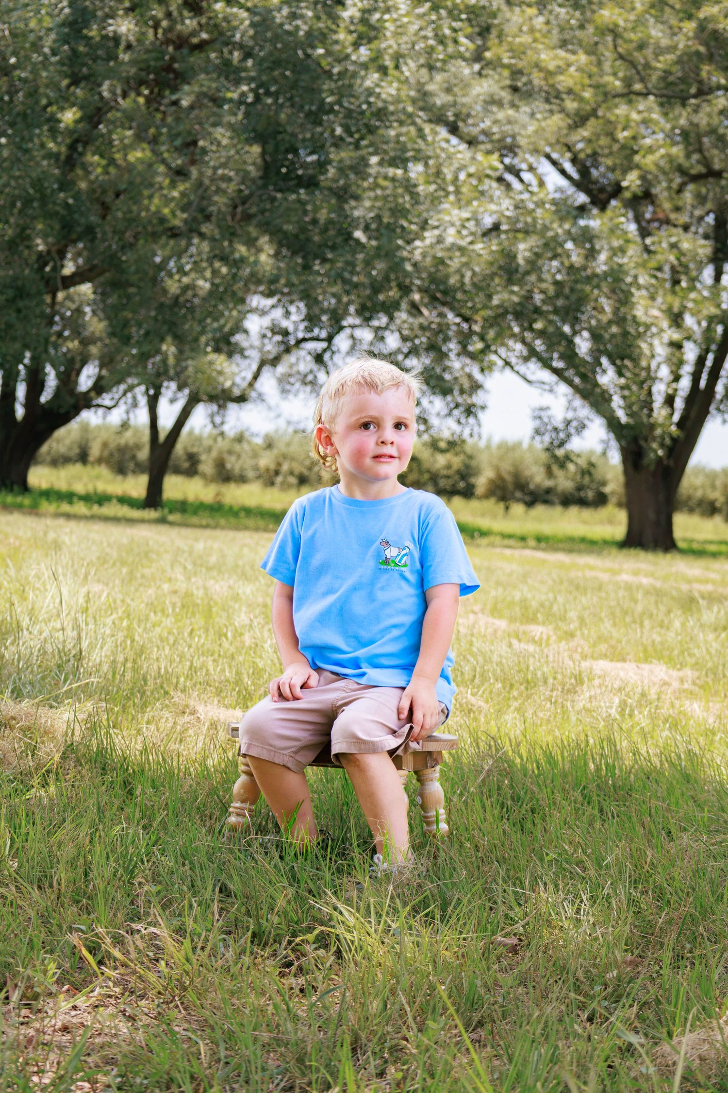 Blond boy in blue t-shirt and khaki shorts sitting on a wooden stool in a green grassy field with trees.