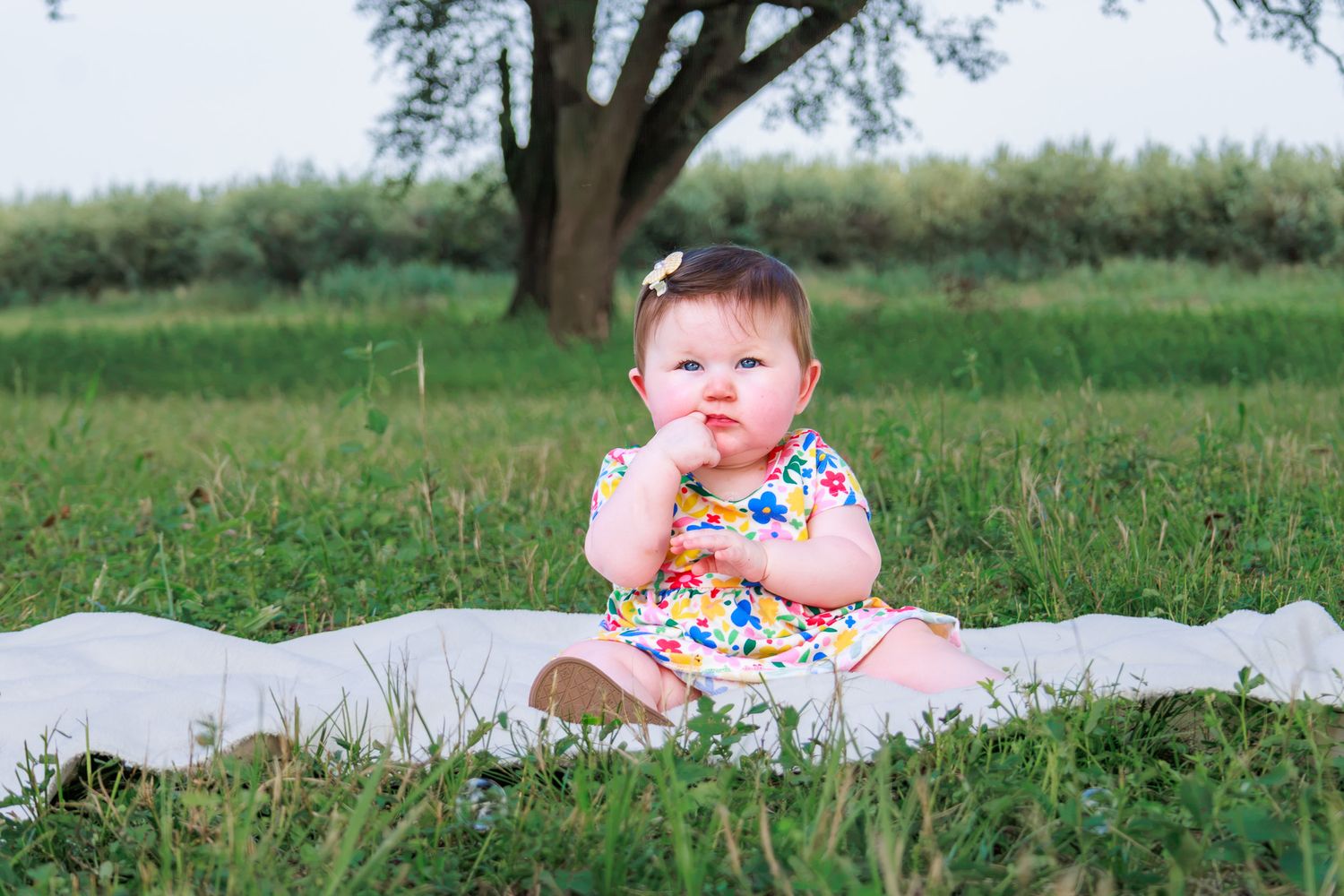 Cute baby girl in floral dress sitting on white blanket in green grass field with tree in background.