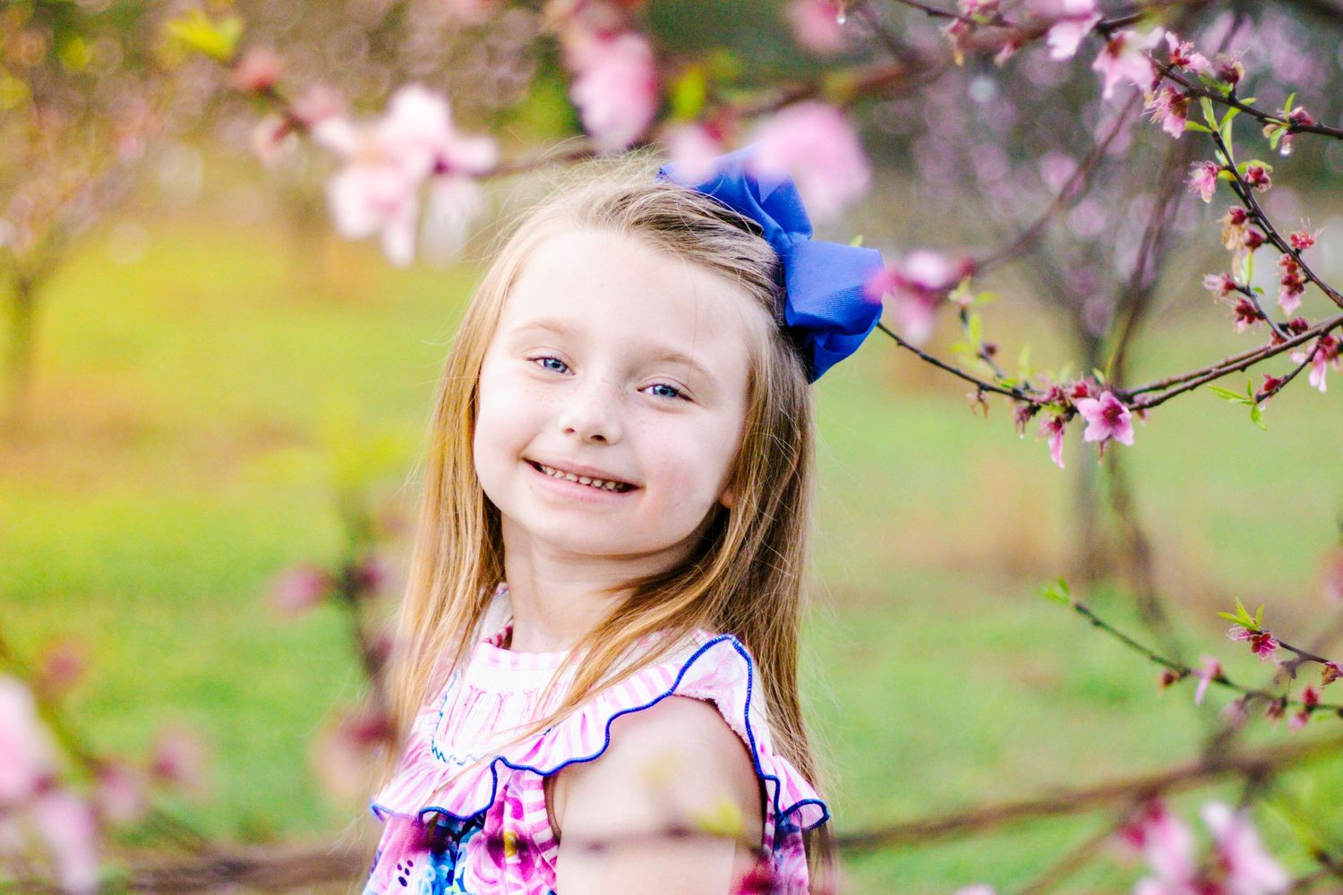 Smiling young girl with blue bow in hair posing among pink spring cherry blossom tree branches.