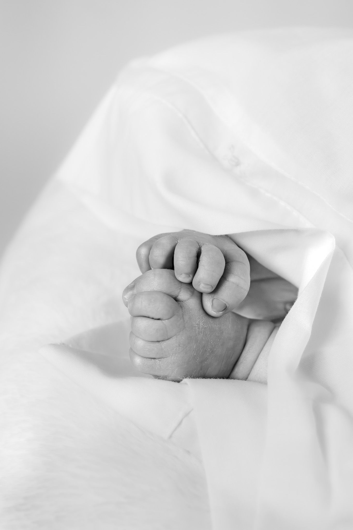 Black and white close-up of a newborn baby's tiny hands under a white blanket.