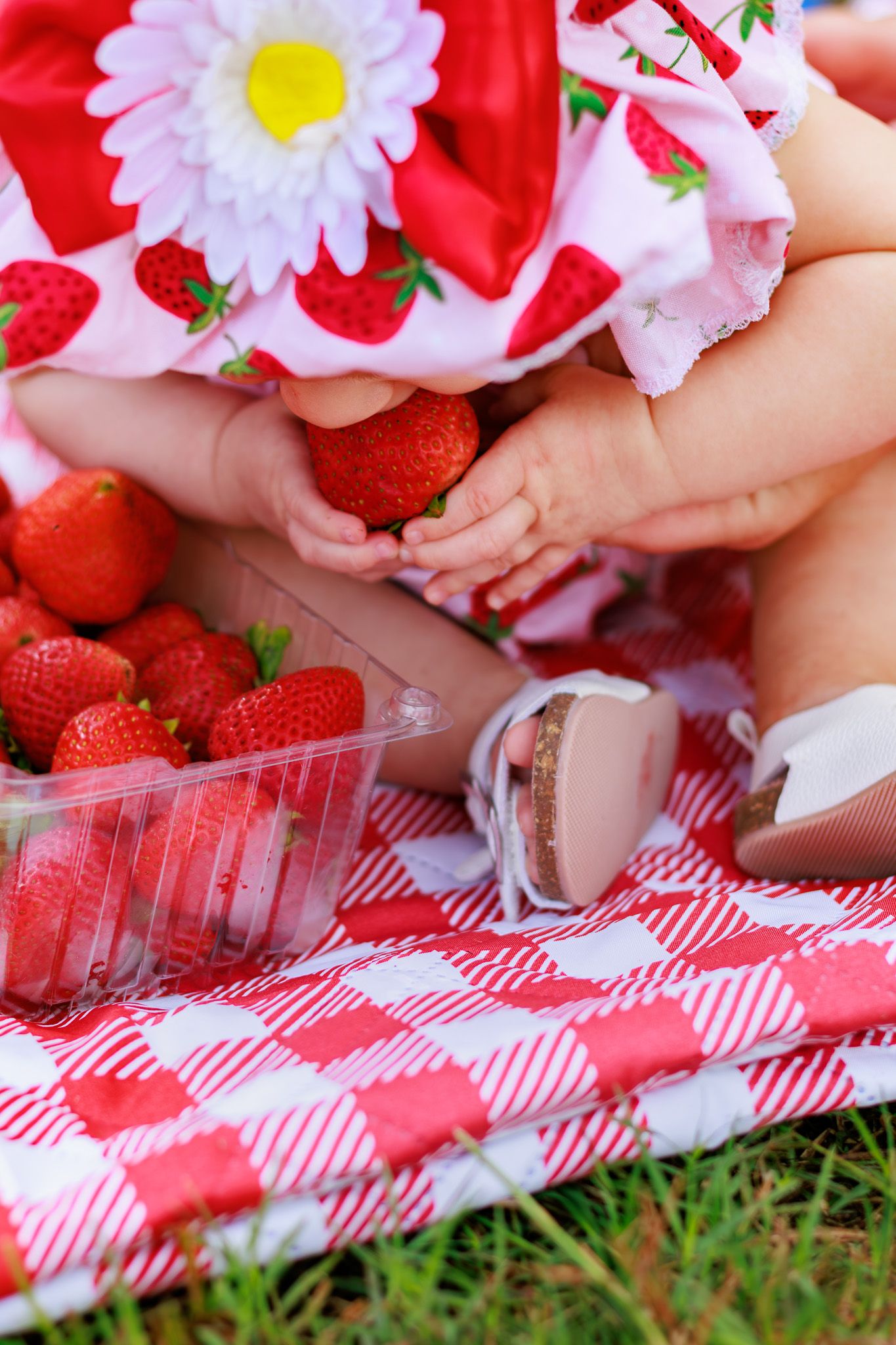 Baby in strawberry dress holds fresh strawberry on red gingham picnic blanket with container of strawberries nearby.