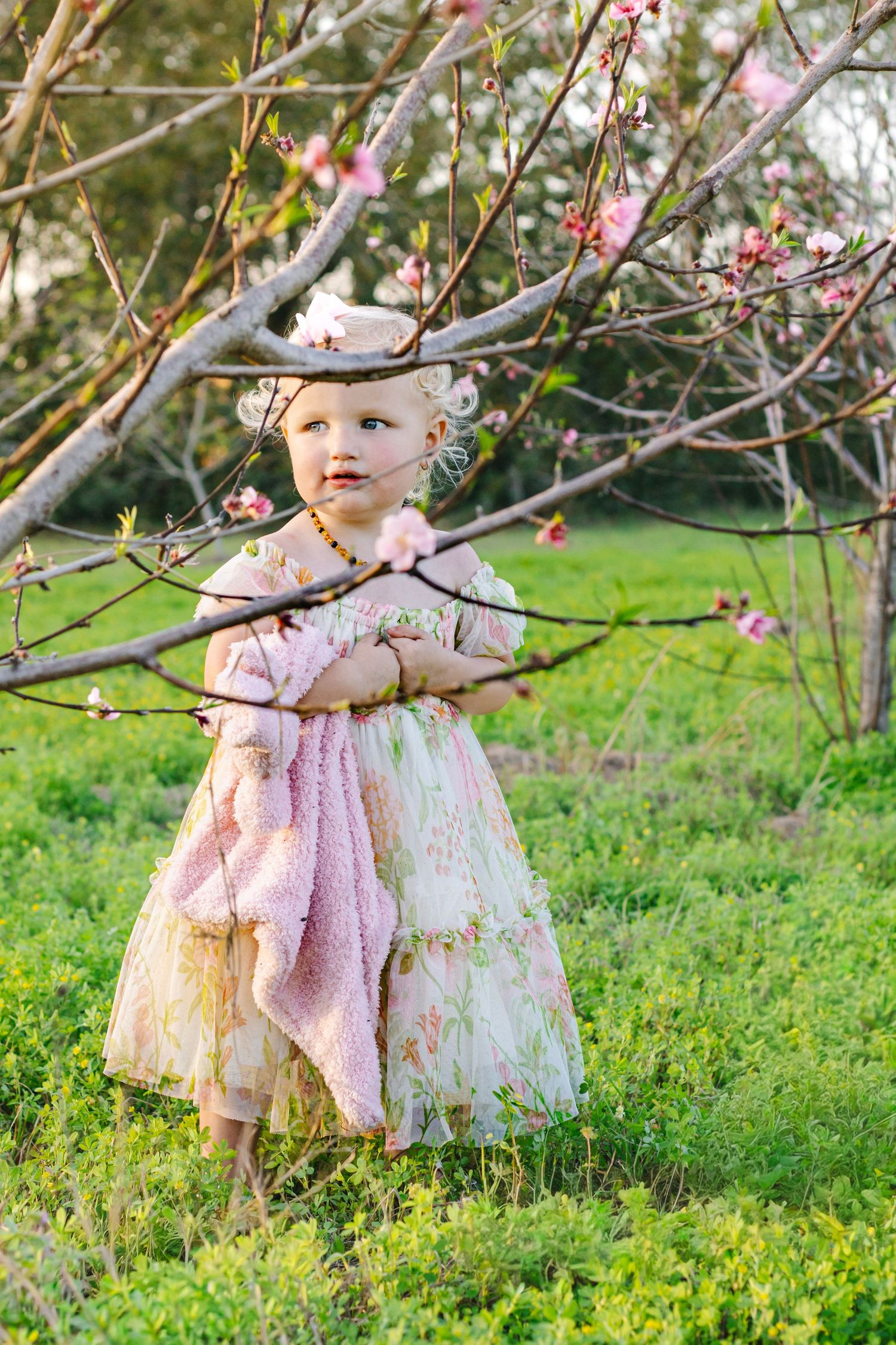 Toddler girl in floral dress with pink blanket standing among blooming cherry trees.