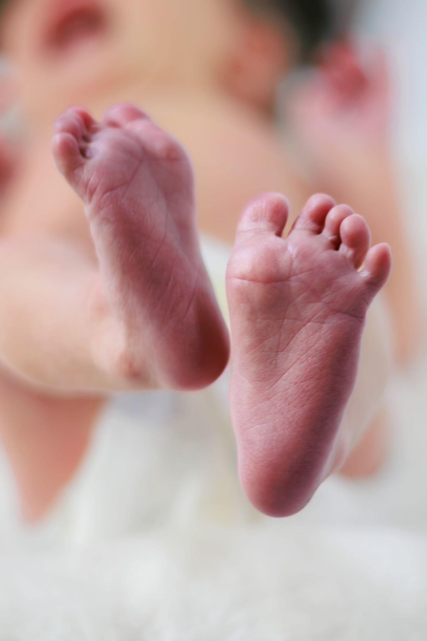 Close-up of tiny newborn baby feet against a soft white background.