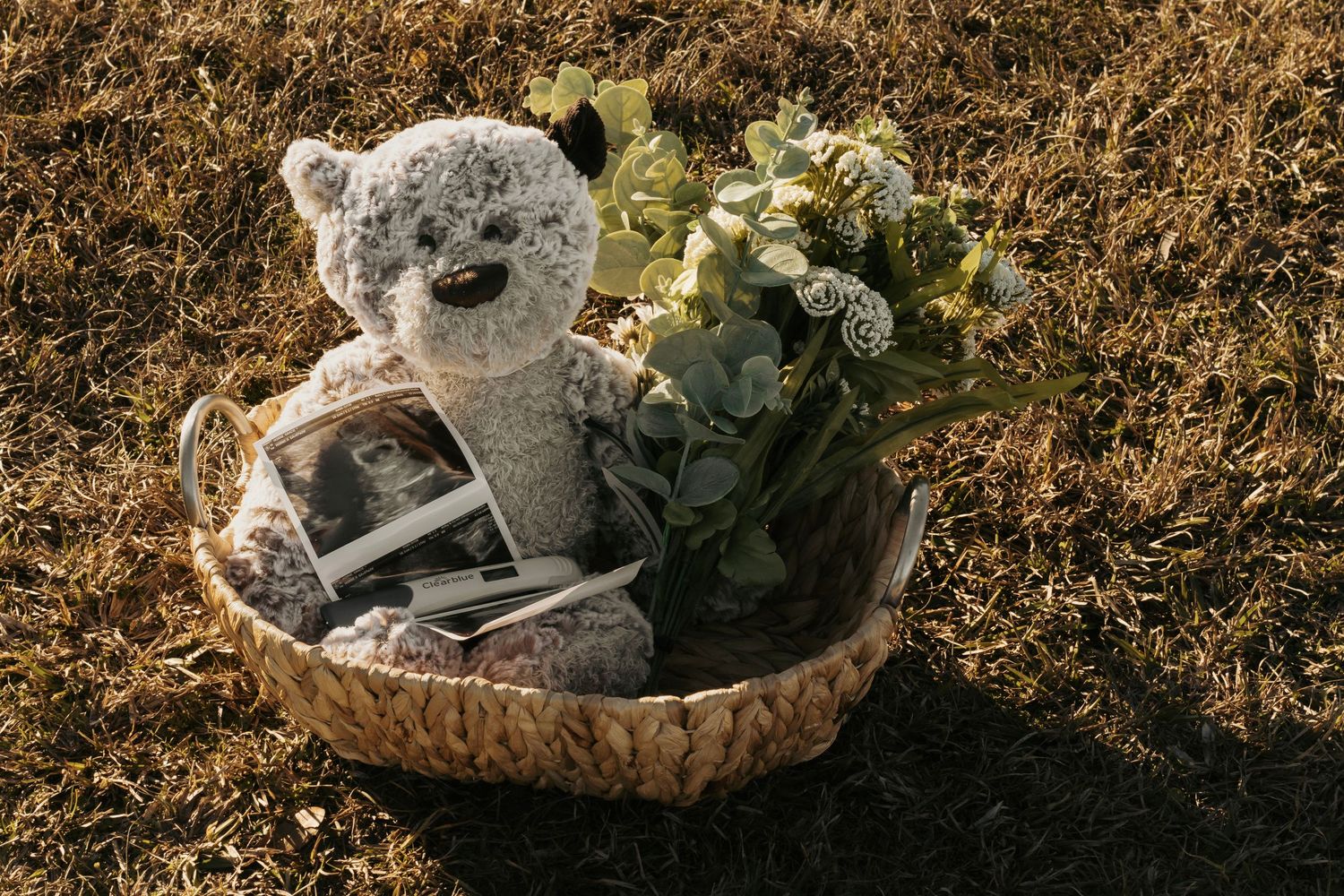 Wicker basket with teddy bear, ultrasound photos, and greenery on grass.