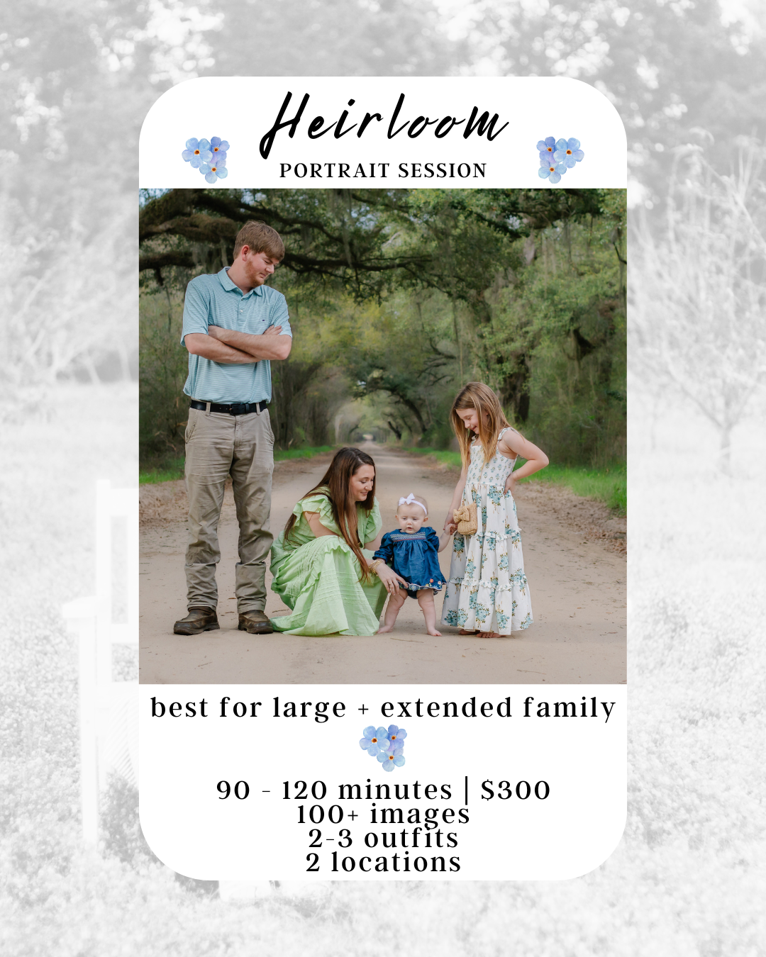 Heirloom portrait session for large extended families, 90-120 minutes for $300 with 100+ images.