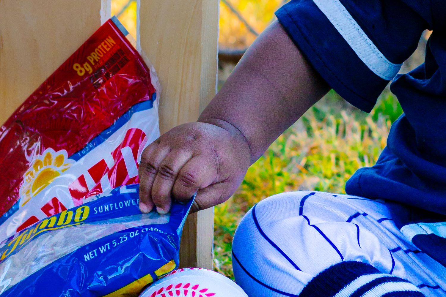 Child's hand reaching into a bag of sunflower seeds outdoors near a baseball and blue sneaker.