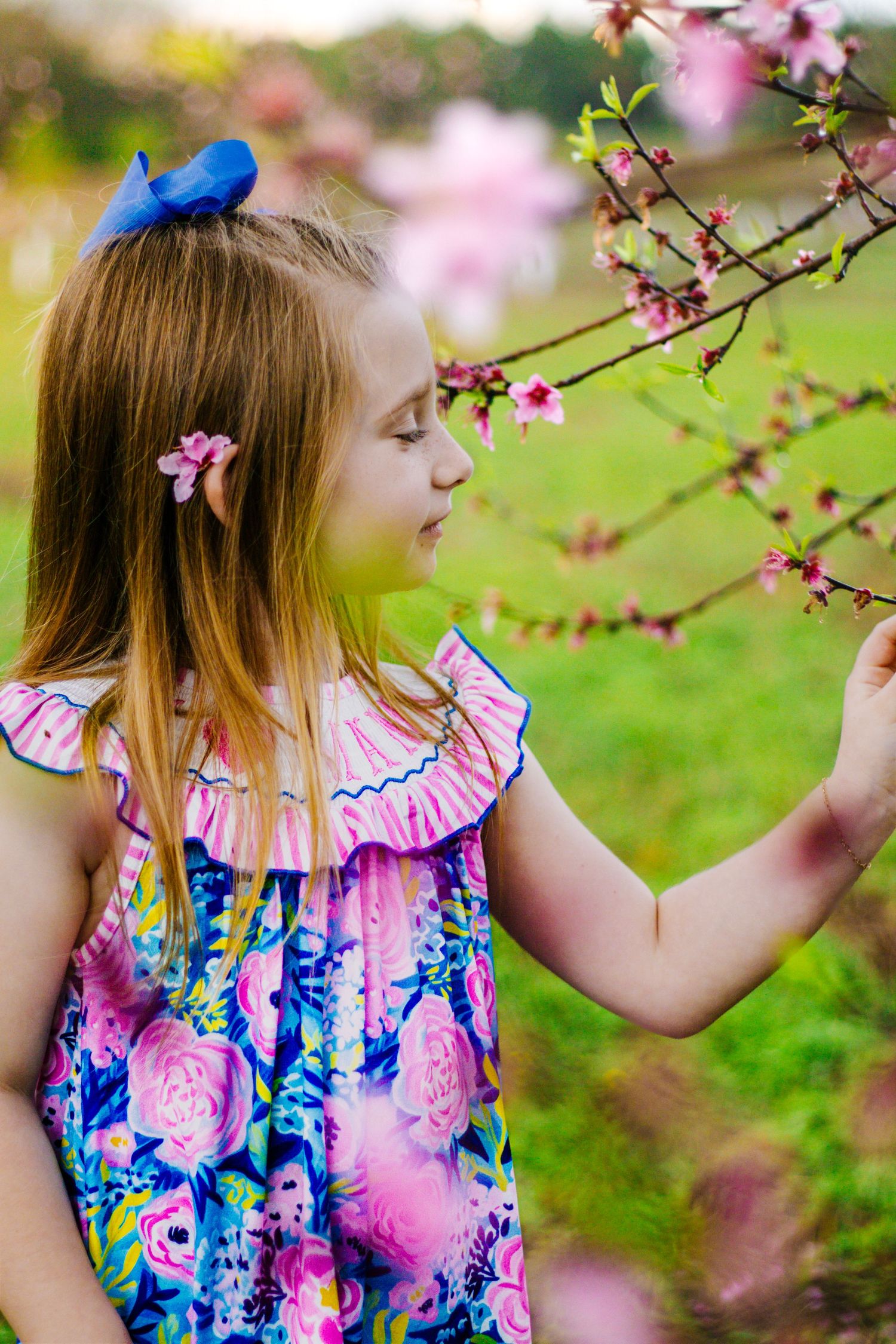Young girl in floral dress gently touching pink cherry blossom flowers on tree branch in spring.