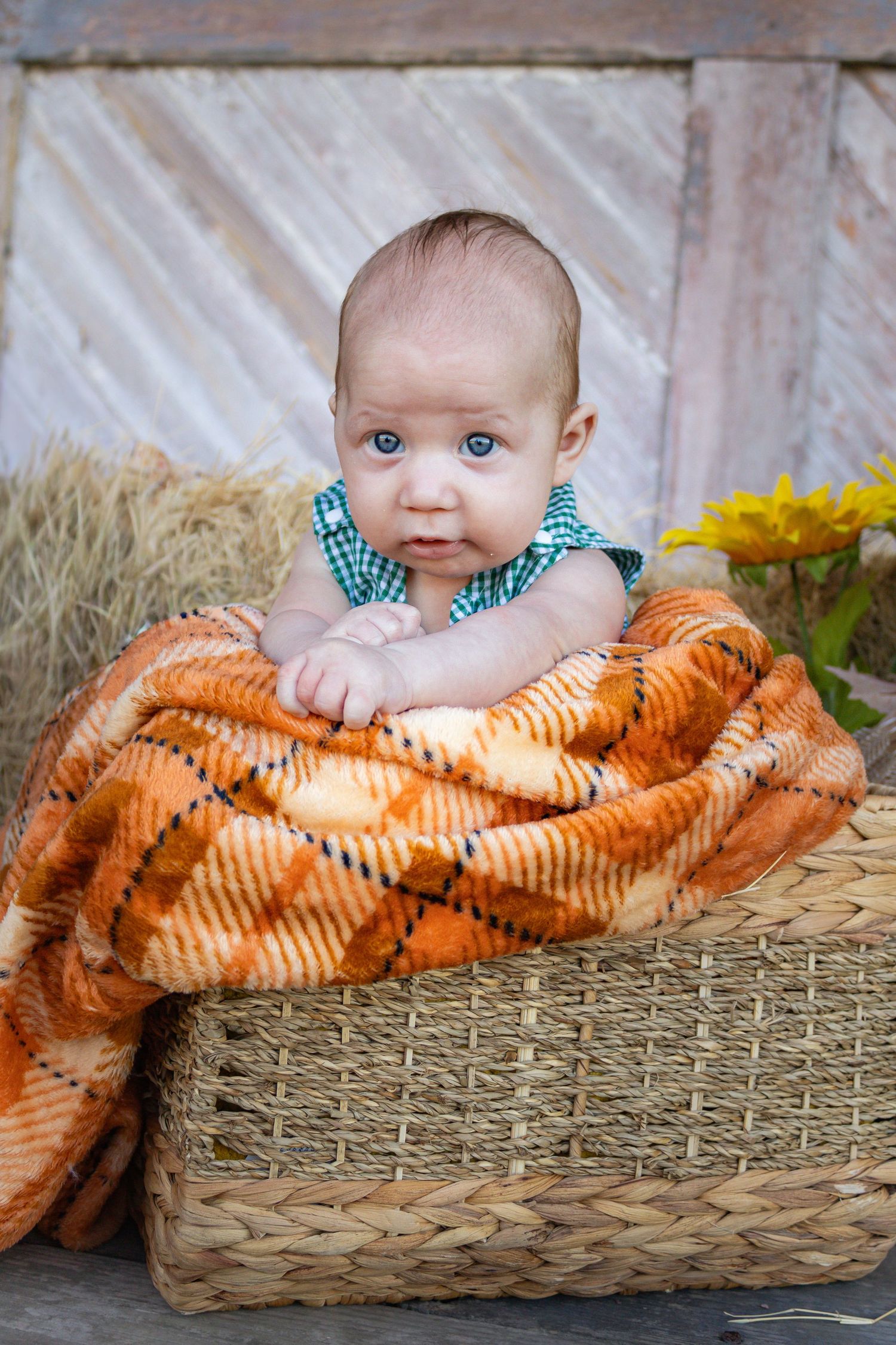 An alert blue-eyed baby sits upright in a wicker basket with an orange plaid blanket.