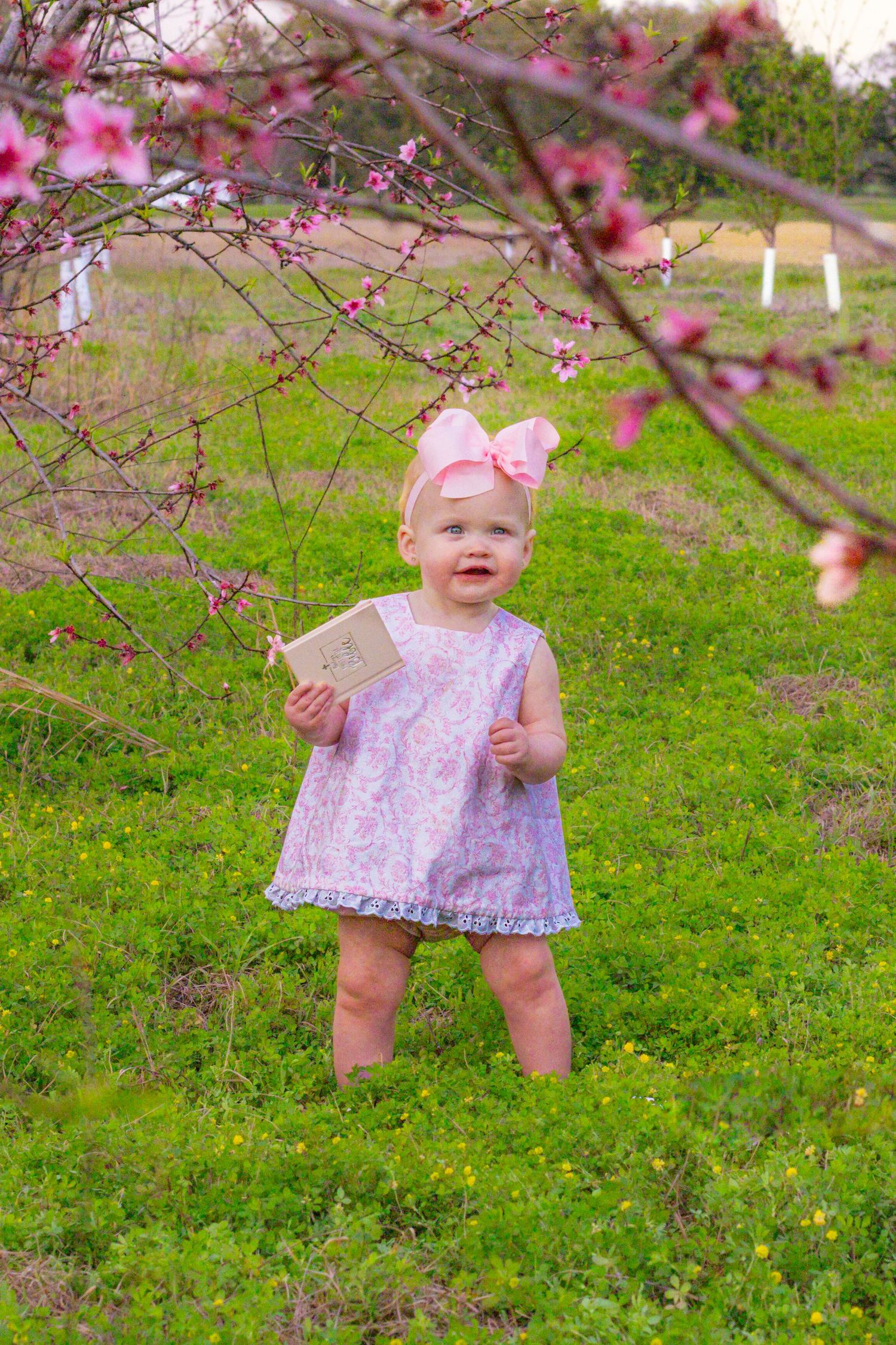 Adorable baby girl in pink paisley dress holds small book under blooming pink spring tree branches.