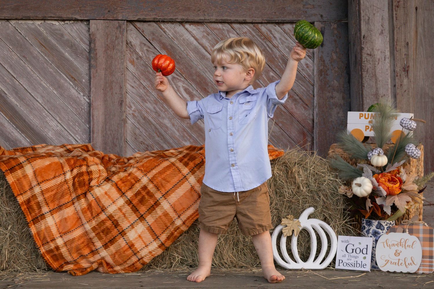 Young barefoot boy in blue shirt holds small pumpkins up in the air at a fall barn photo session.