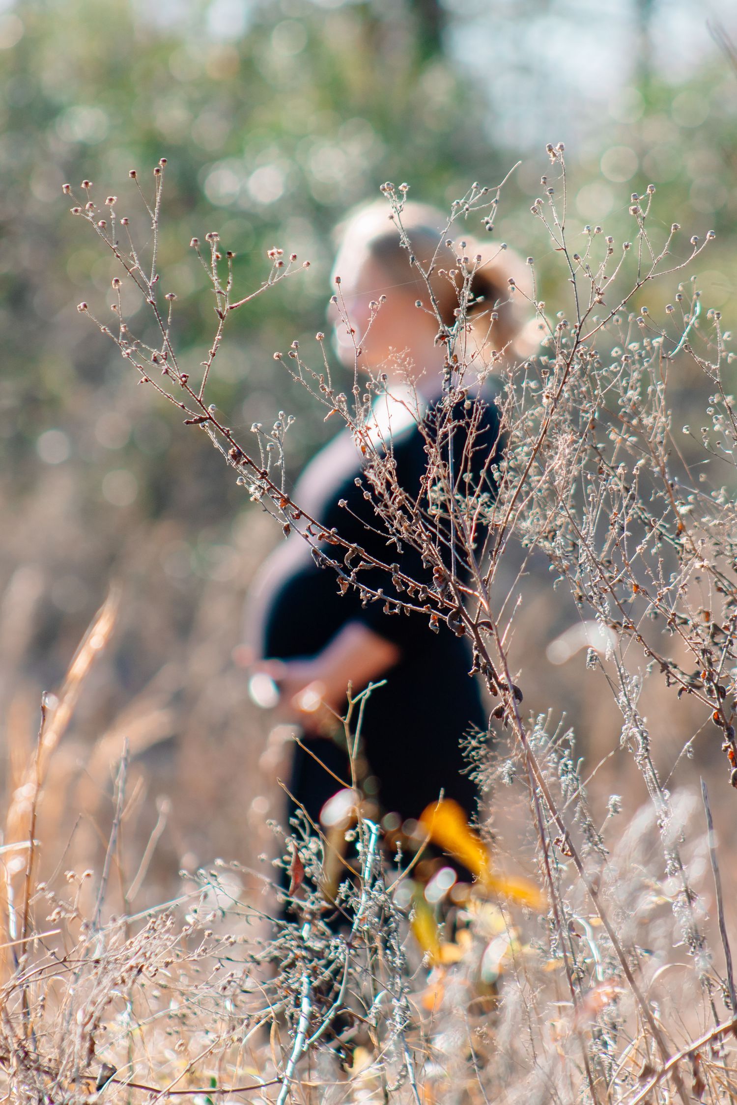 Artistic blurred bokeh shot of pregnant woman in black dress standing among dried wildflowers in autumn field.