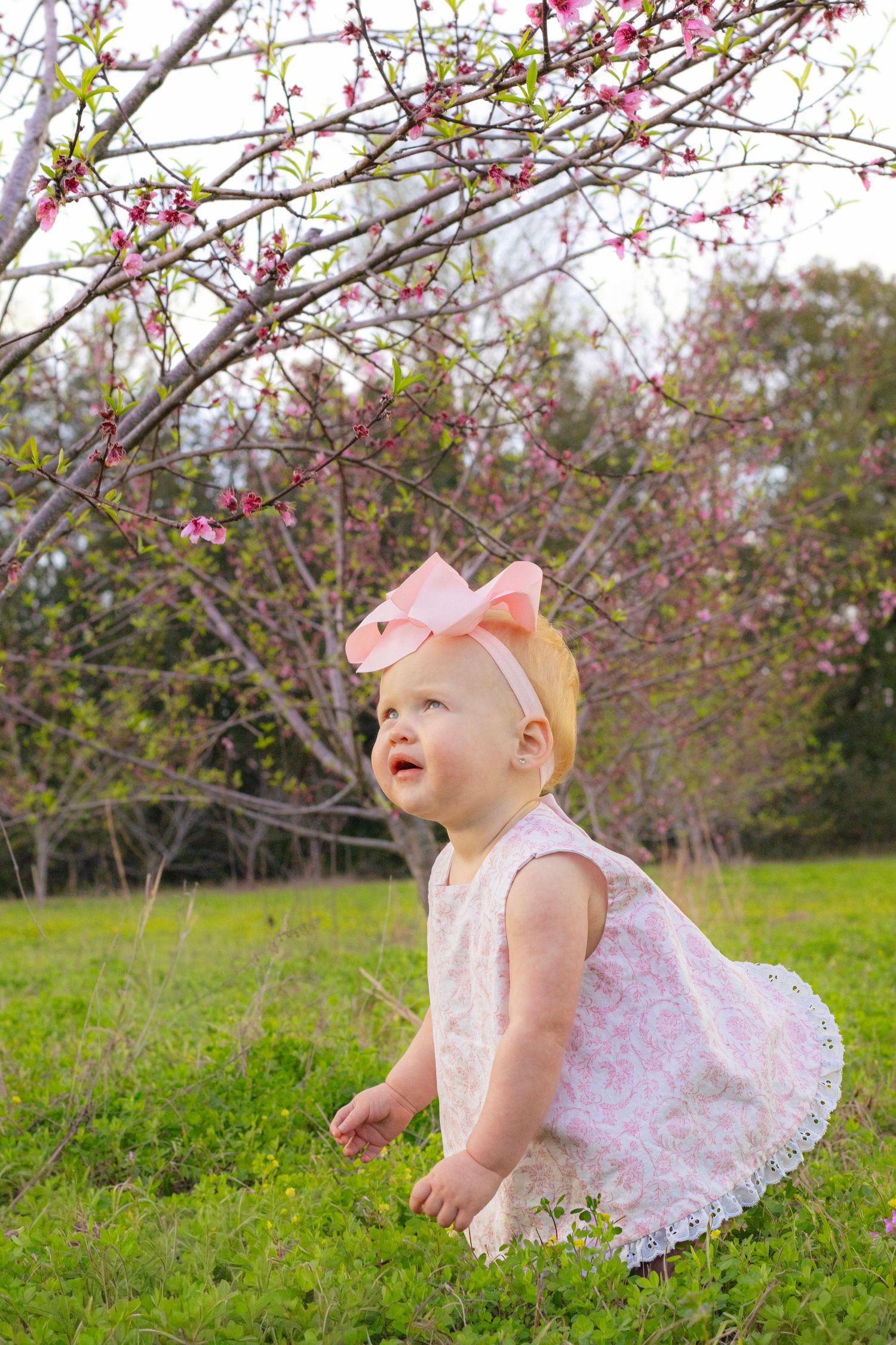 Adorable baby girl in white lace dress with pink bow sitting on grass beneath blooming spring tree.