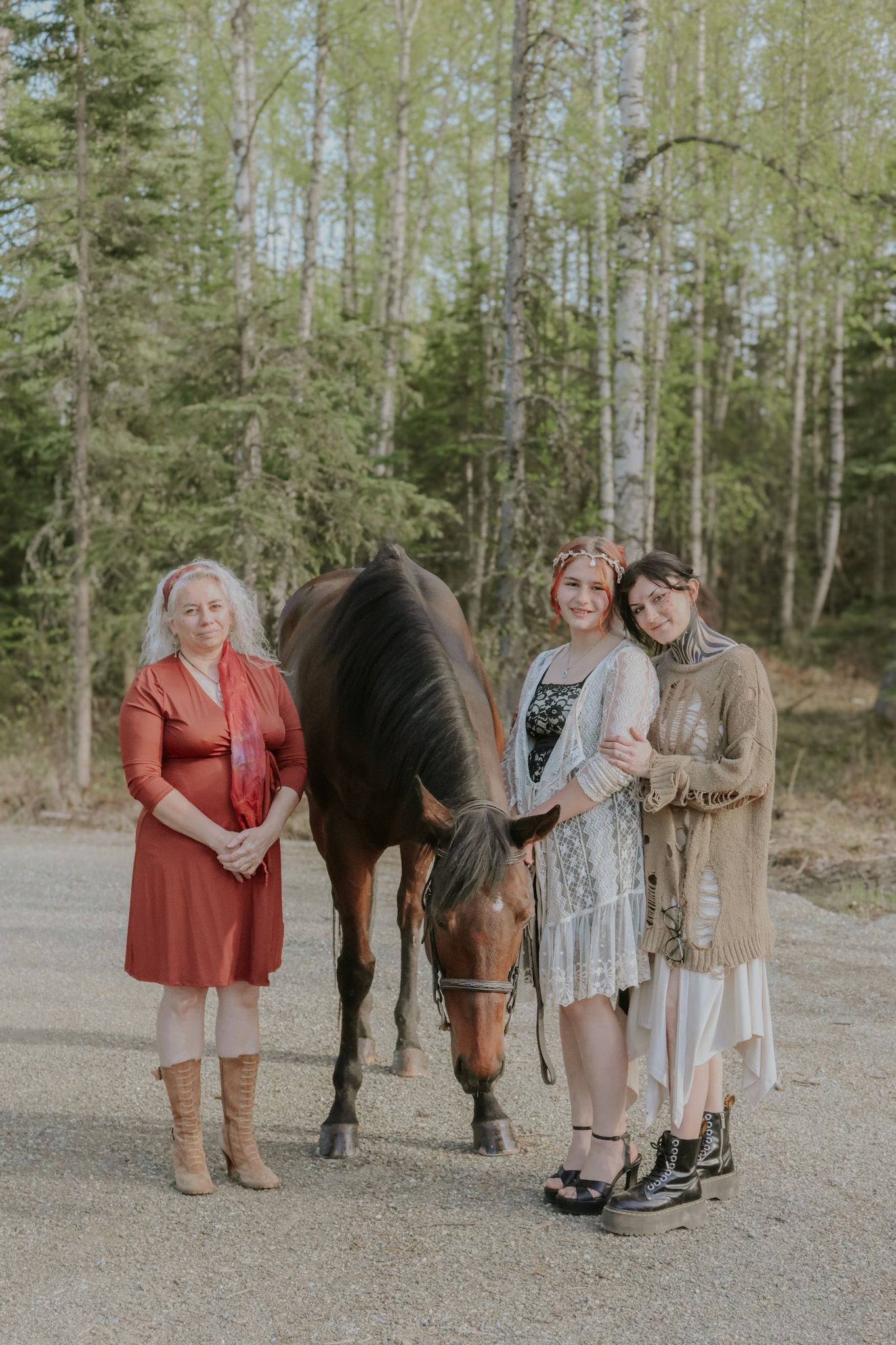 A brown horse stands with people on a gravel path surrounded by tall evergreen trees in a forest setting.