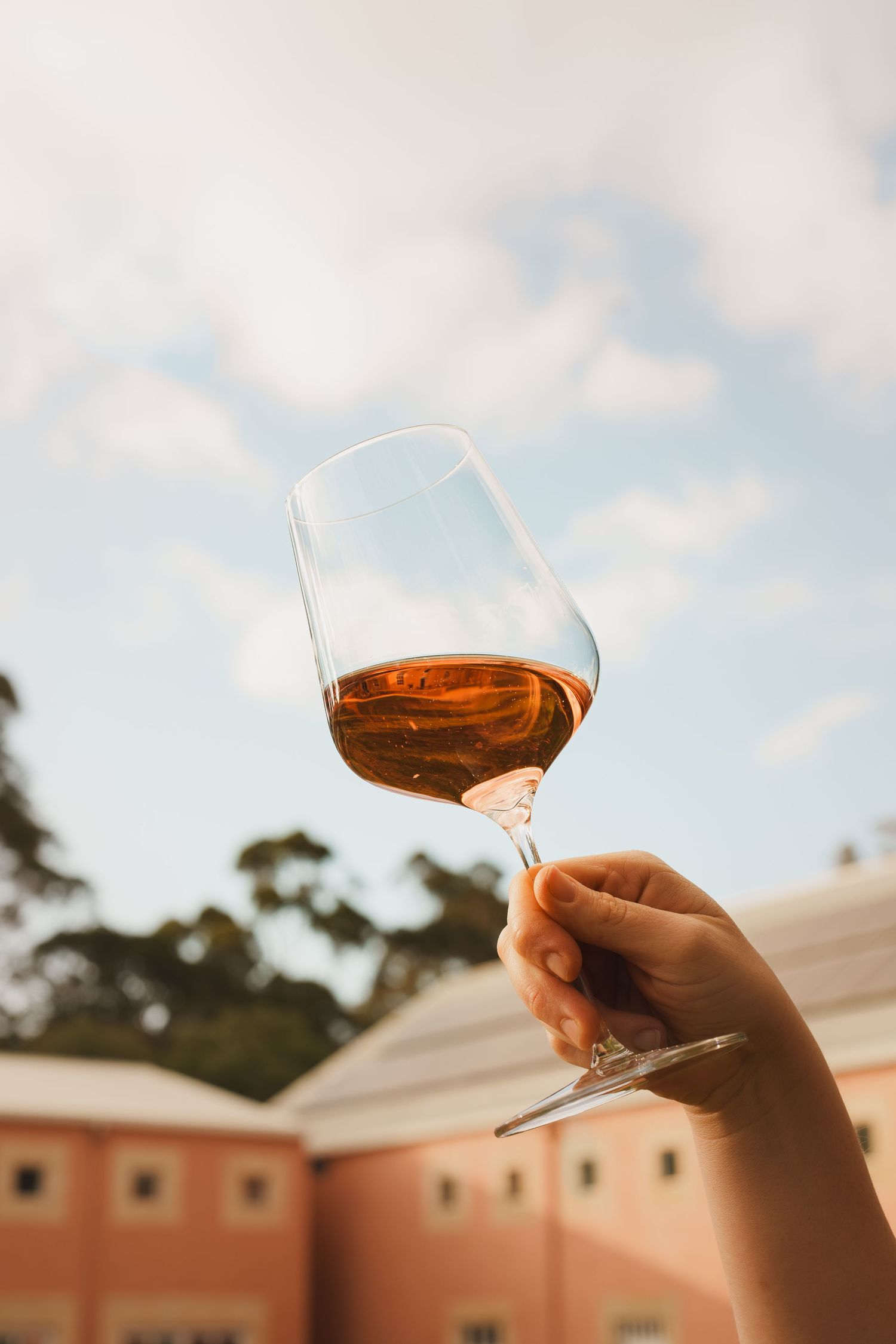 Hand raising a glass of rose wine against a blue sky with pink building in background.