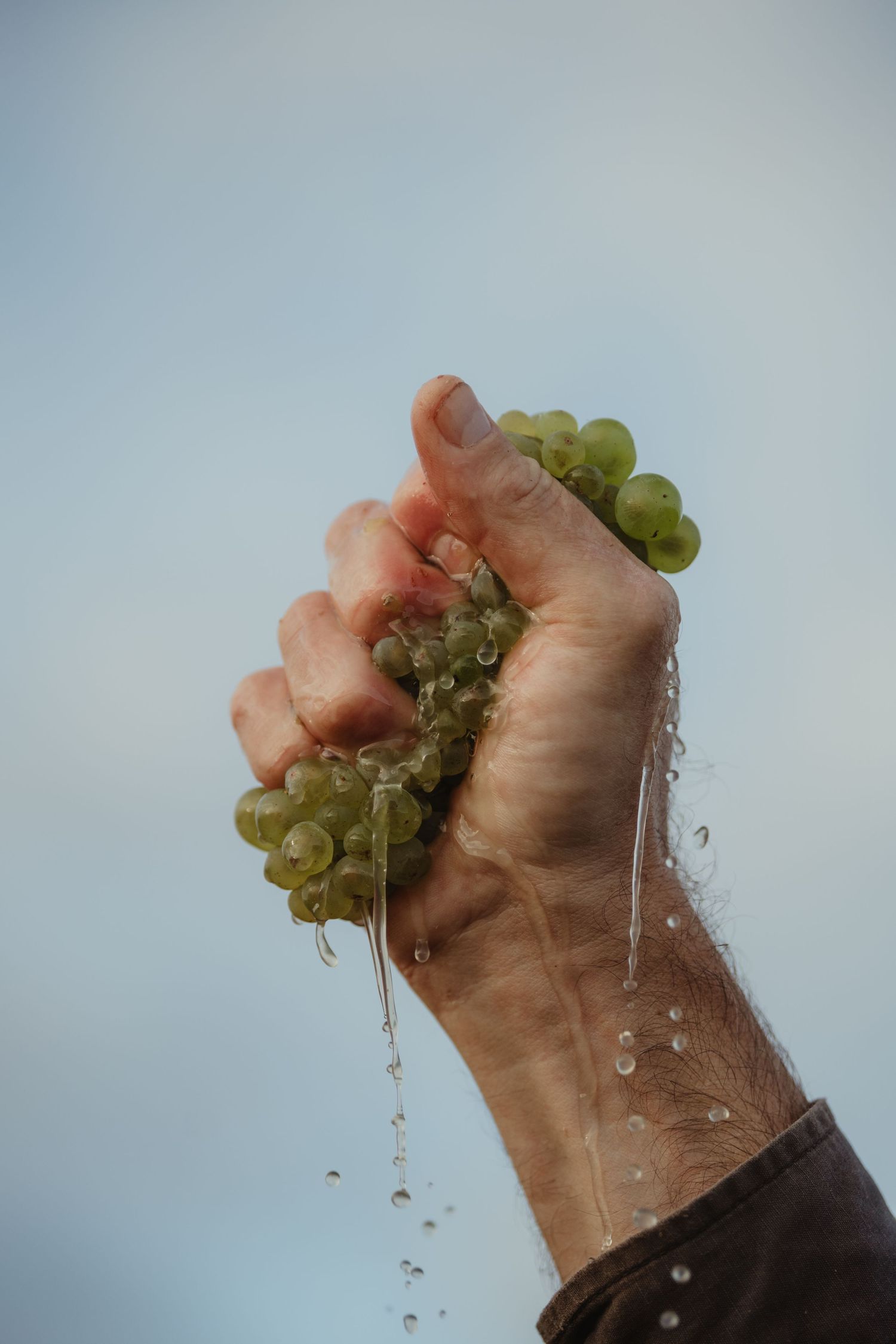 A hand squeezing fresh green grapes with water droplets falling against a light blue sky.
