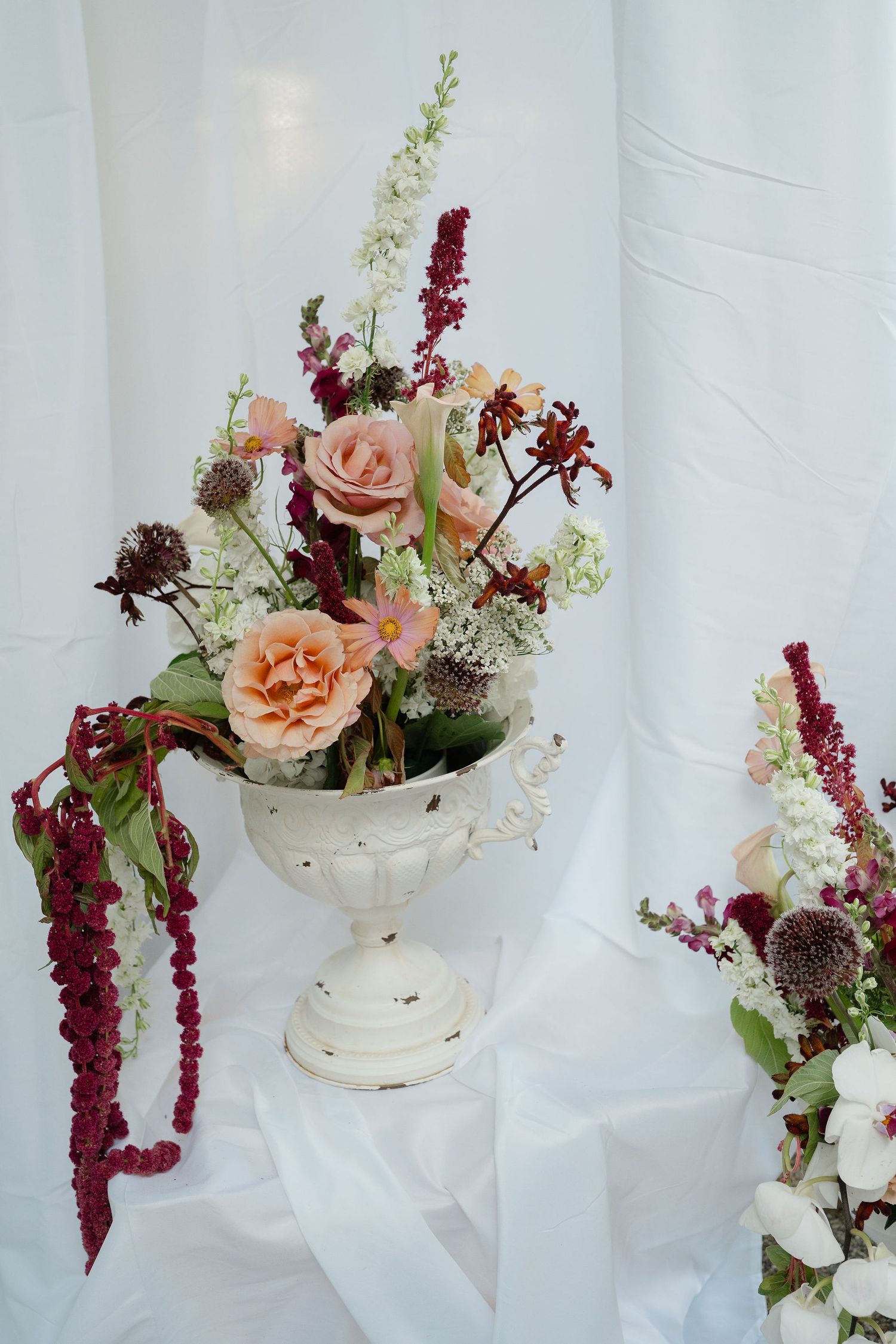 Elegant white urn vase with peach roses and burgundy amaranthus floral arrangement on white draped background.